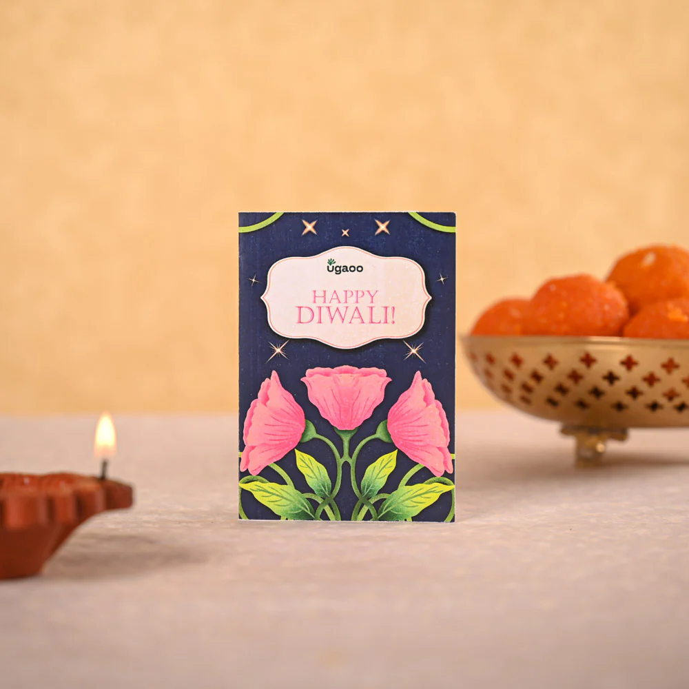 Philodendron Ceylon & Smoor Gift Hamper - Image 4