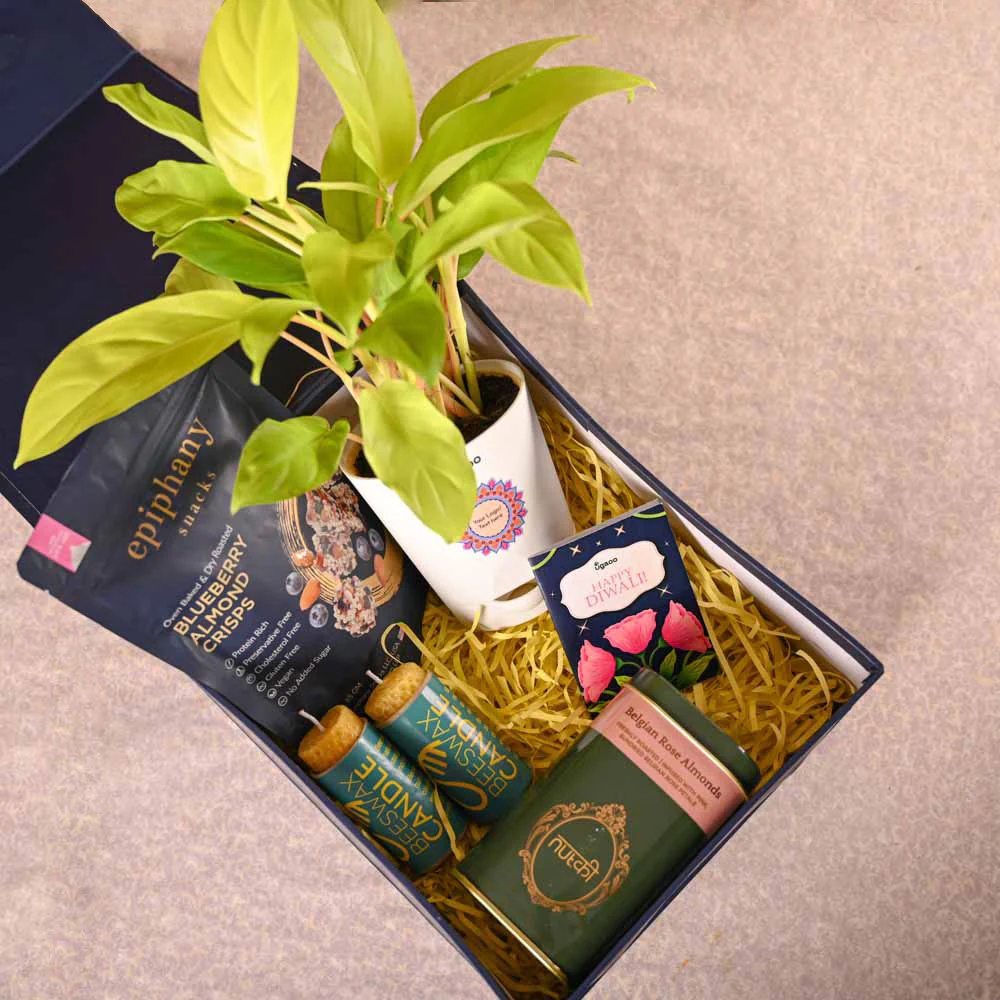 Philodendron Ceylon & Smoor Gift Hamper - Image 8