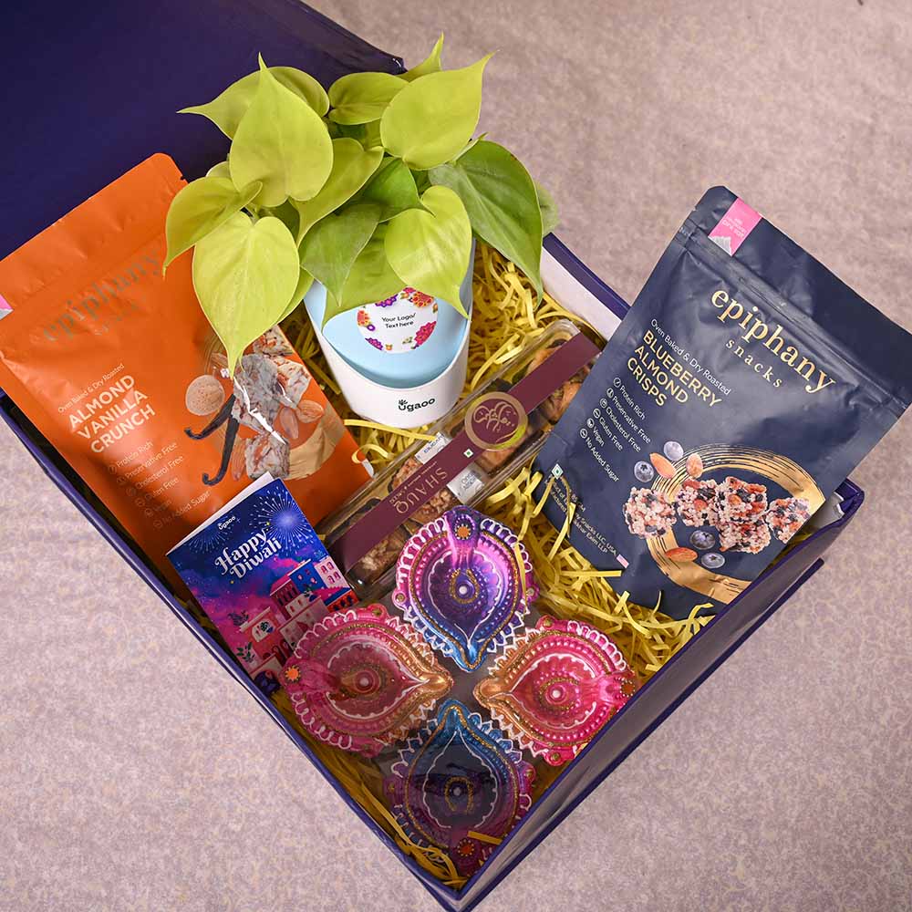 Philodendron Oxycardium & Epiphany Diwali Gift Hamper - Image 9