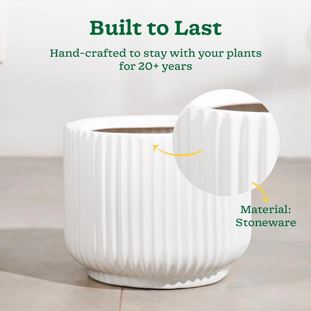 Phoenix Ceramic Pot (12.5 Inch Diameter) - Image 11