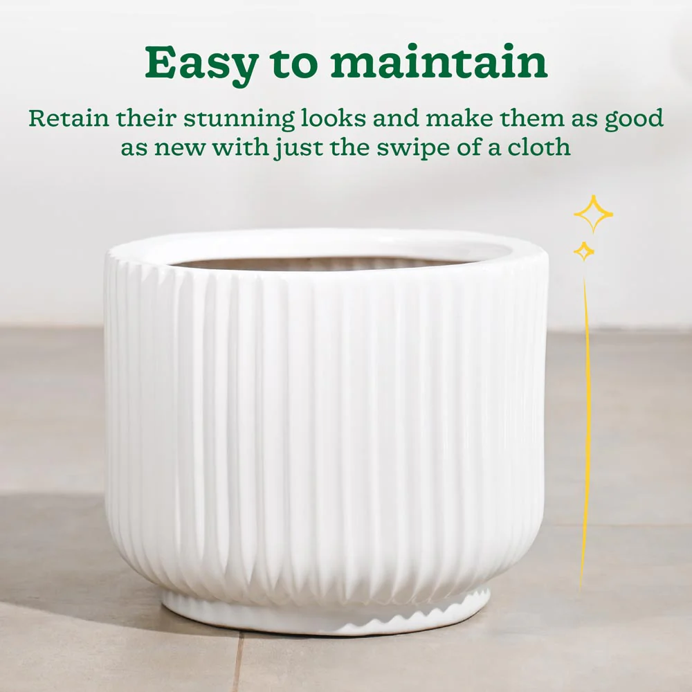 Phoenix Ceramic Pot (12.5 Inch Diameter) - Image 12