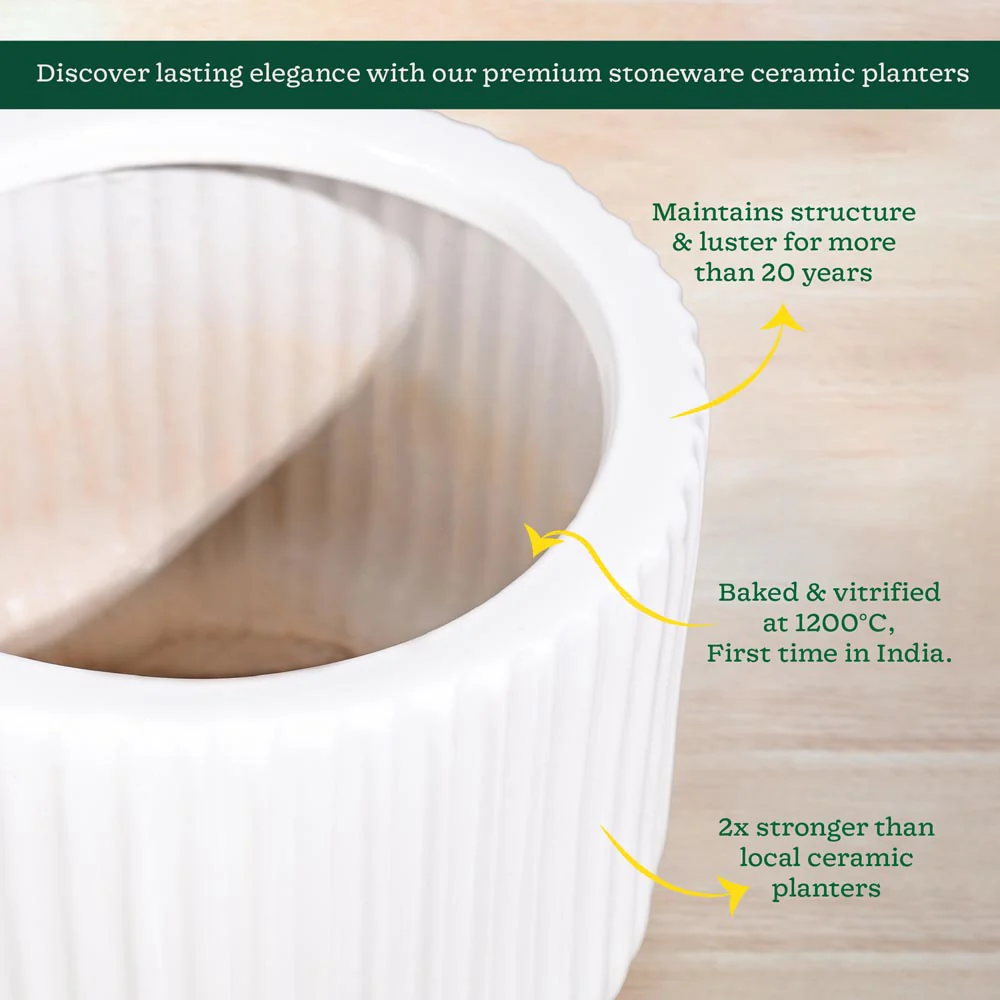 Phoenix Ceramic Pot (12.5 Inch Diameter) - Image 13