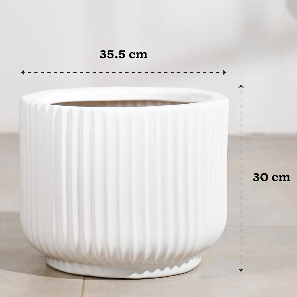Phoenix Ceramic Pot (12.5 Inch Diameter) - Image 16