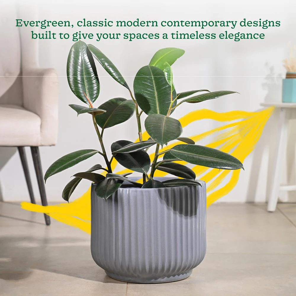 Phoenix Ceramic Pot (12.5 Inch Diameter) - Image 3