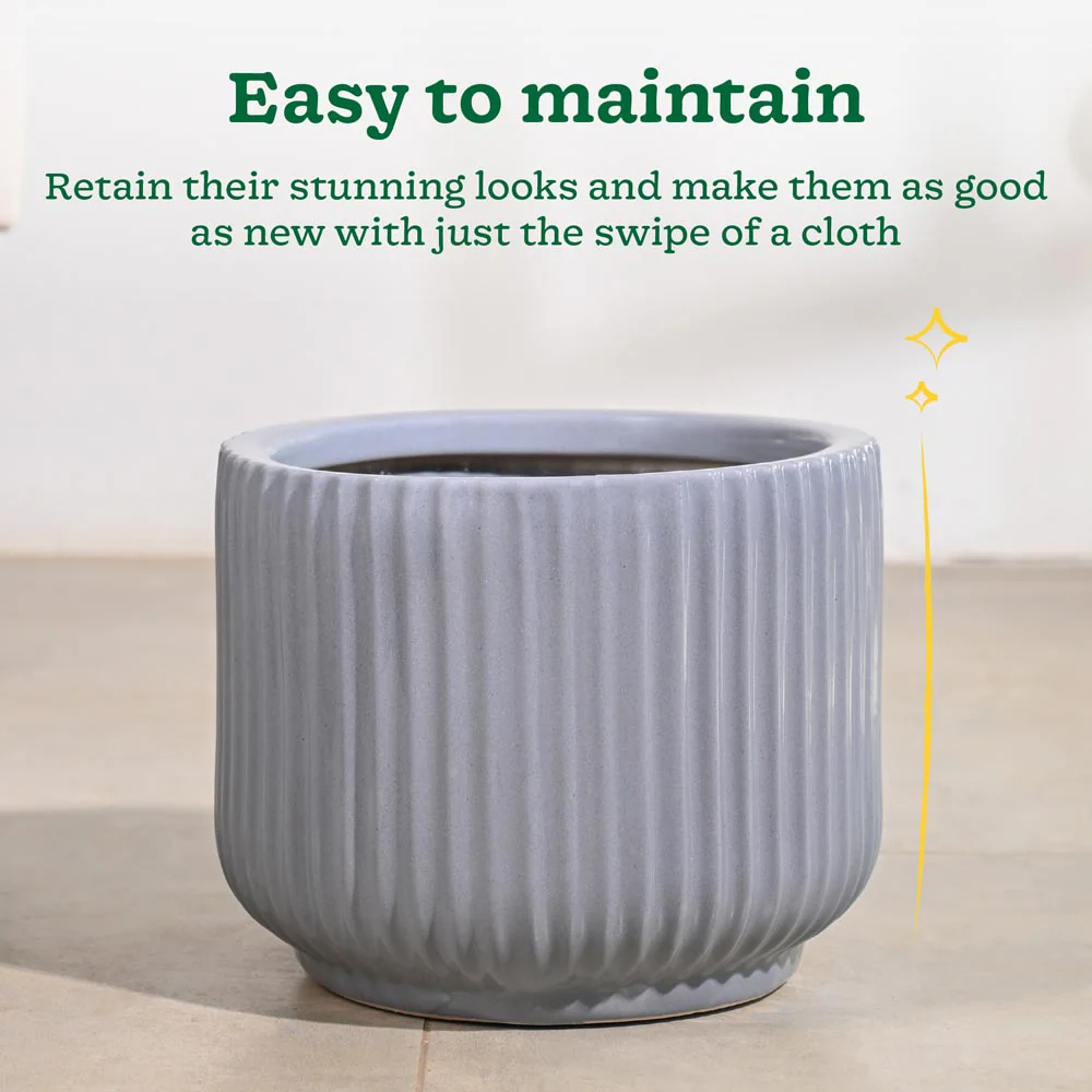 Phoenix Ceramic Pot (12.5 Inch Diameter) - Image 5