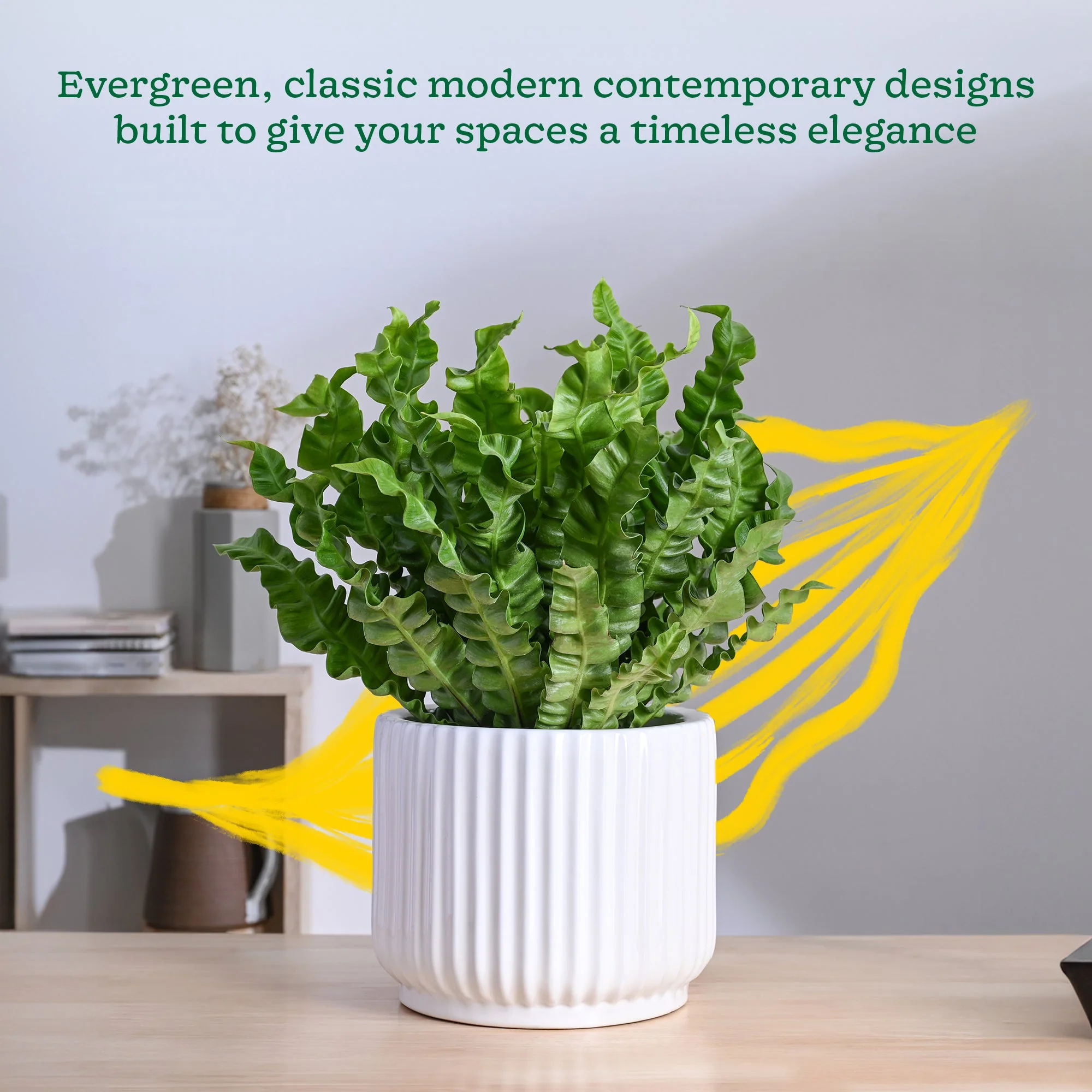 Phoenix Ceramic Pot (9.5 Inch Diameter) - Image 10