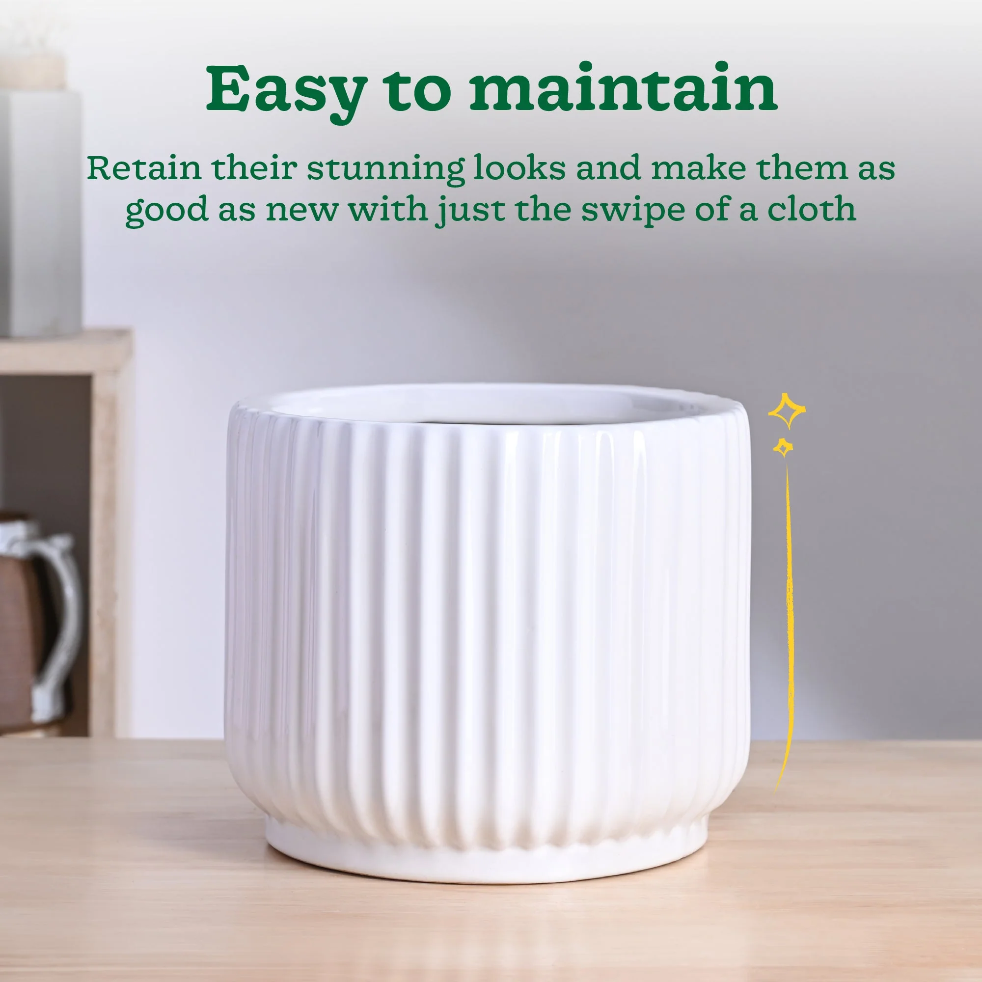 Phoenix Ceramic Pot (9.5 Inch Diameter) - Image 12