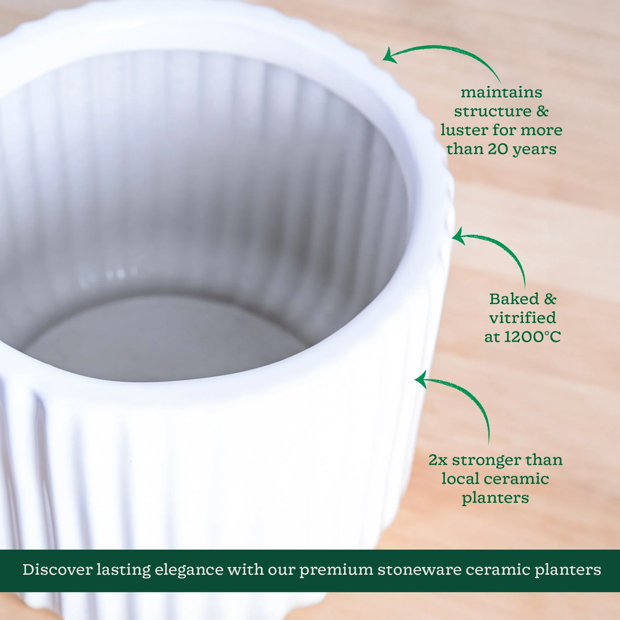 Phoenix Ceramic Pot (9.5 Inch Diameter) - Image 13