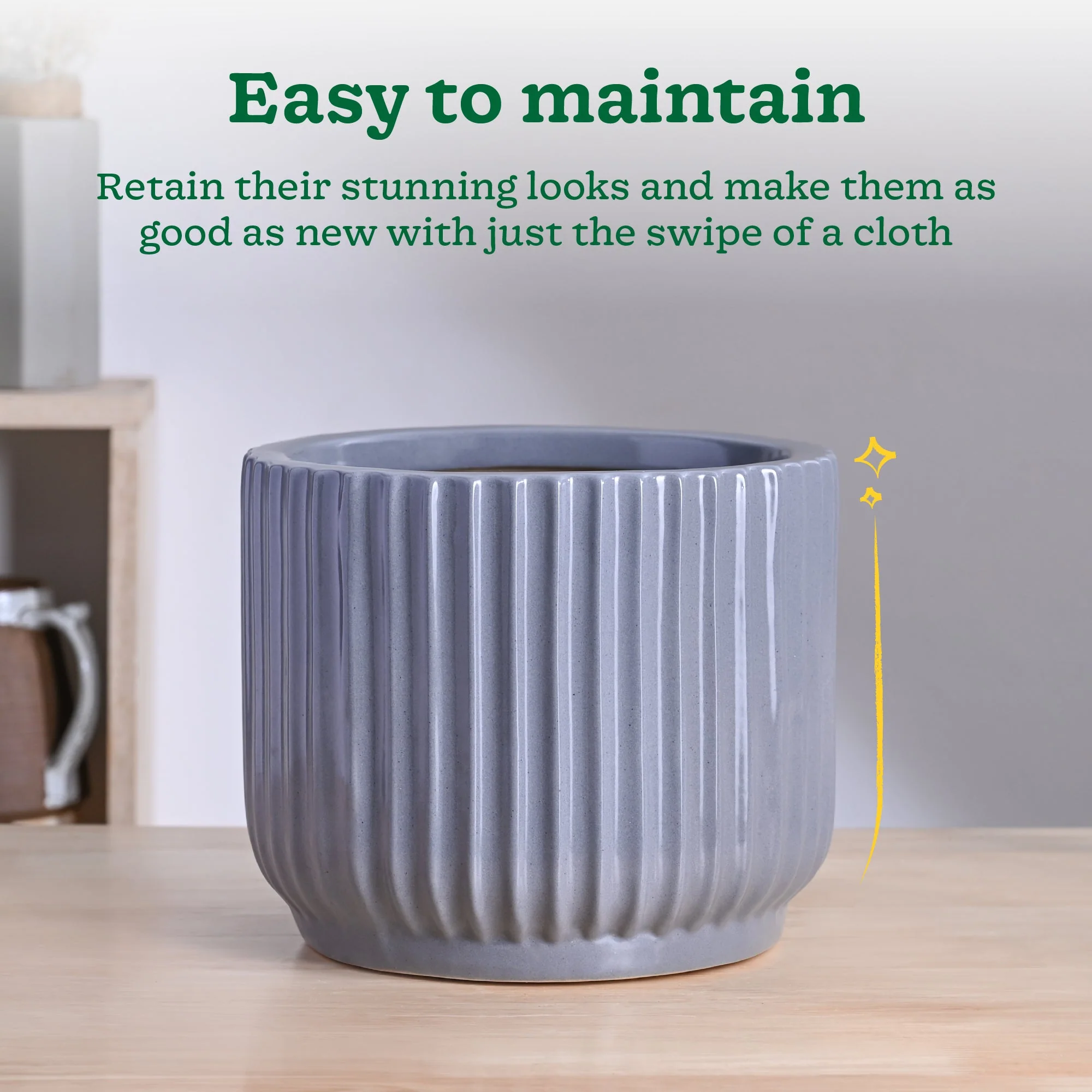 Phoenix Ceramic Pot (9.5 Inch Diameter) - Image 4
