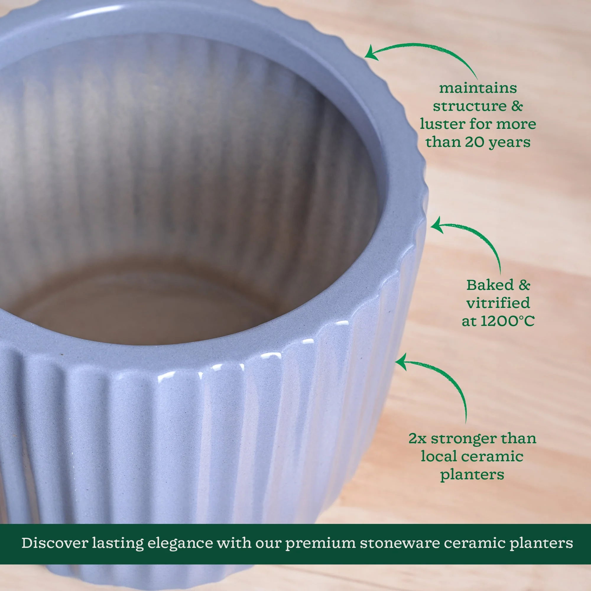 Phoenix Ceramic Pot (9.5 Inch Diameter) - Image 5