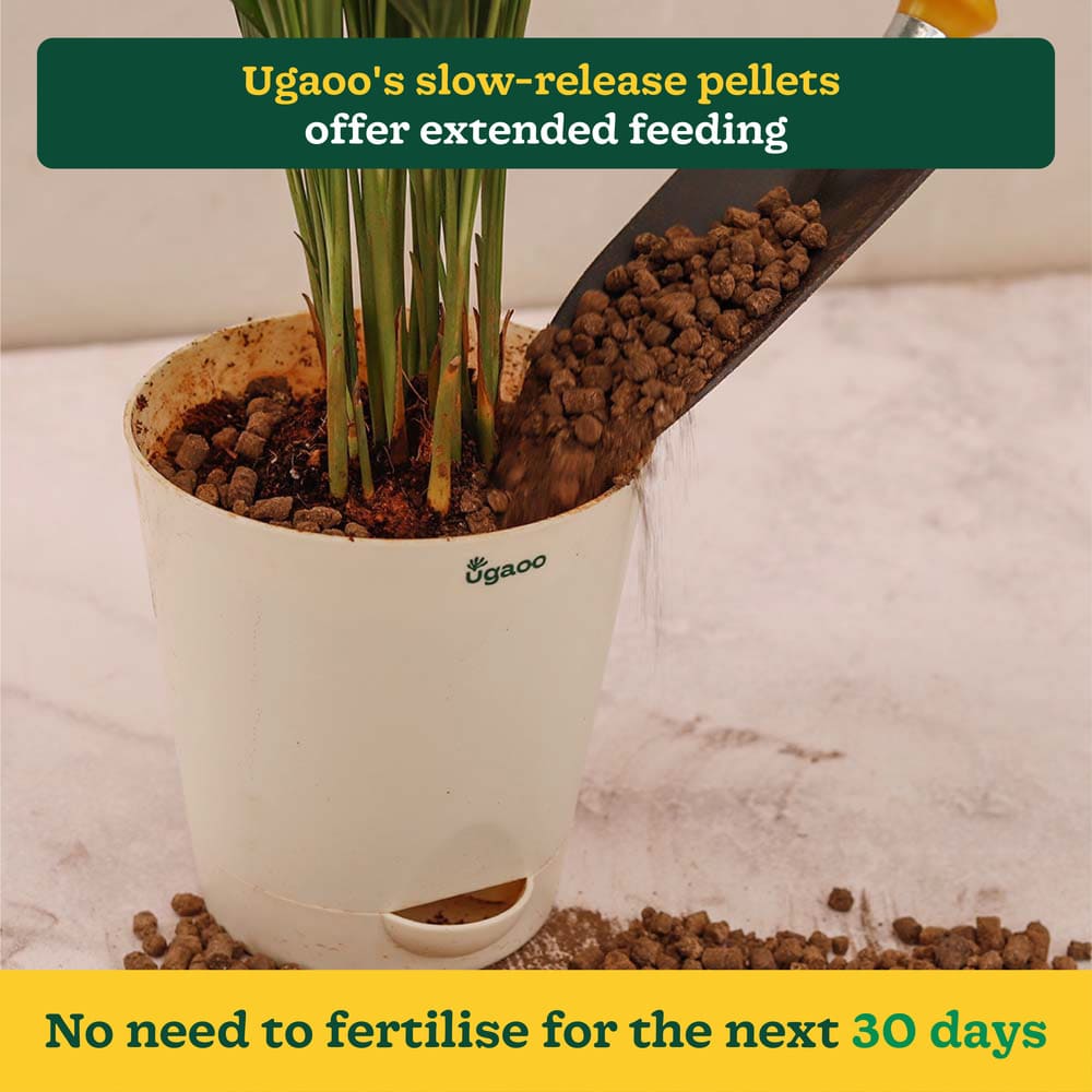 Plant Fertilizer Pellets - 1 Kg - Image 4