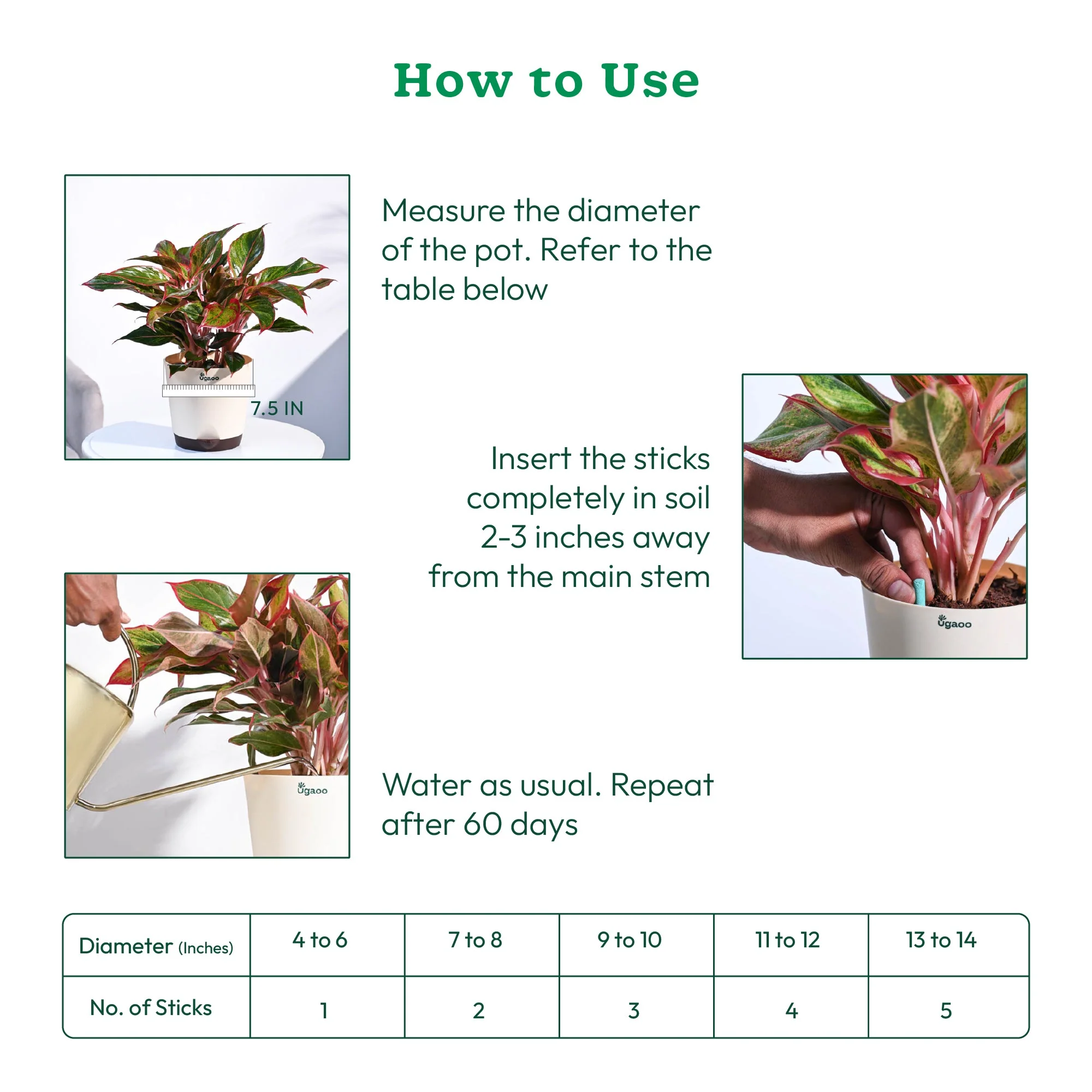 Plant Food Fertilizer Stick - Green & Rootmaster - Image 5