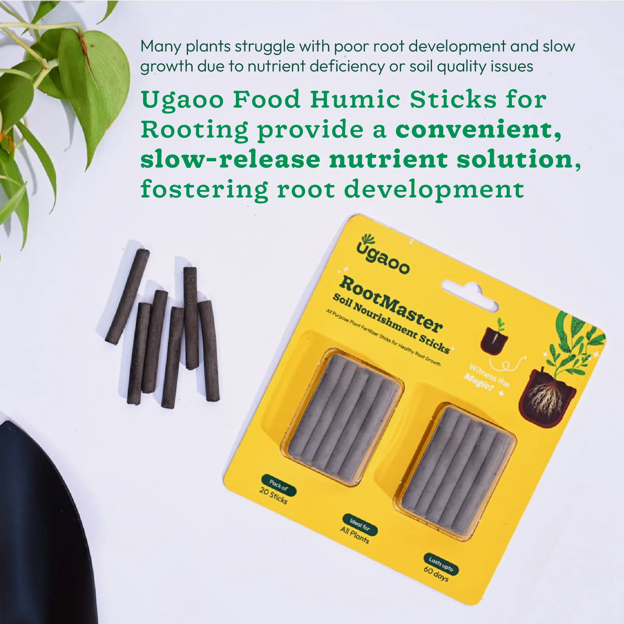 Plant Food Fertilizer Sticks - Rootmaster - Image 8