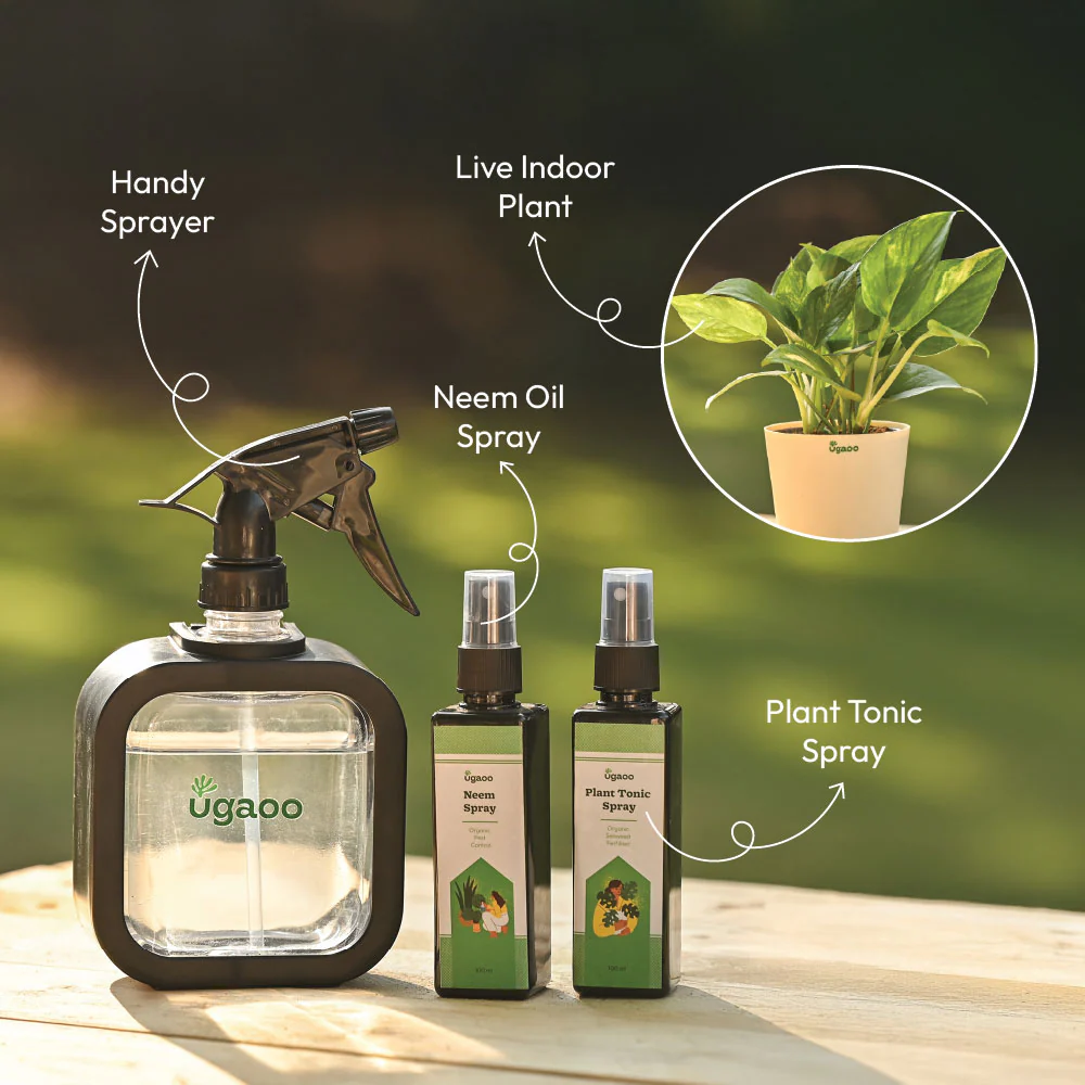 Plant Starter Kit - Image 5