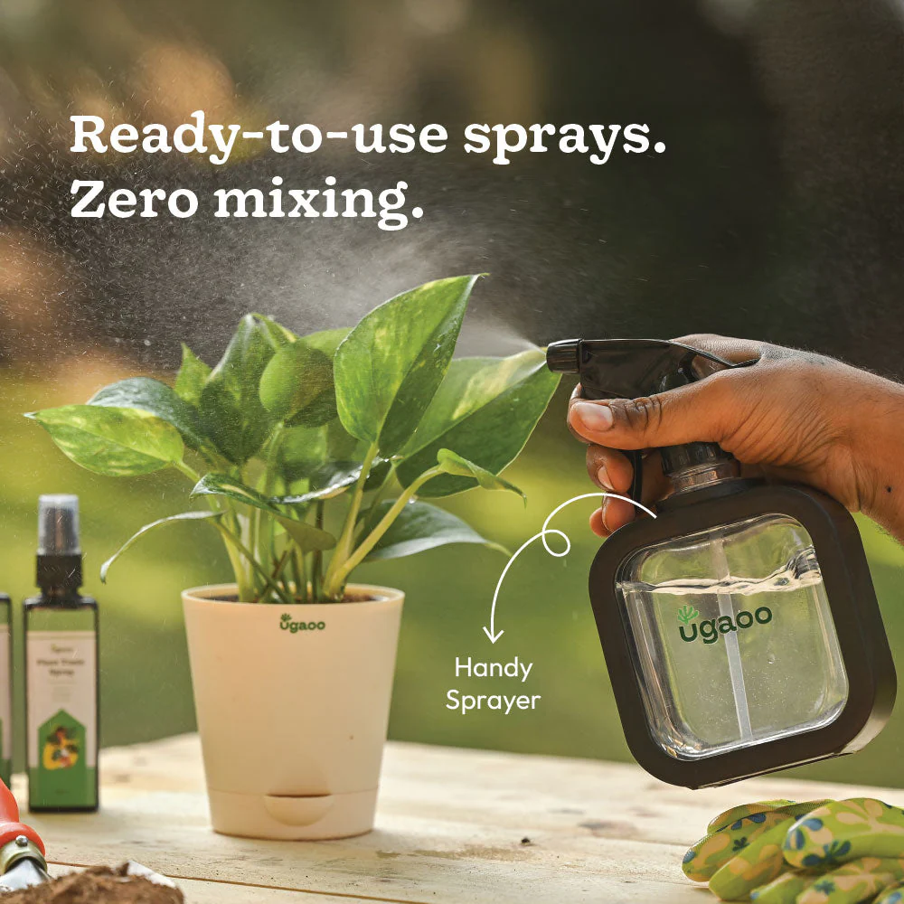 Plant Starter Kit - Image 8