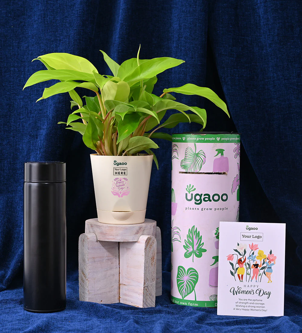 Plant with Temperature LED Display Bottle - Image 3