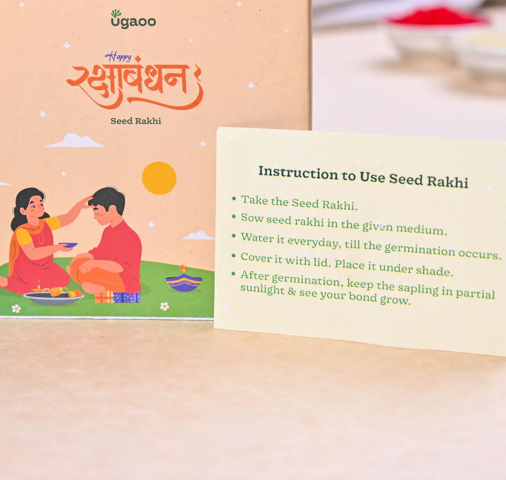 Plantable Seed Rakhi - Set of 2 - Image 3