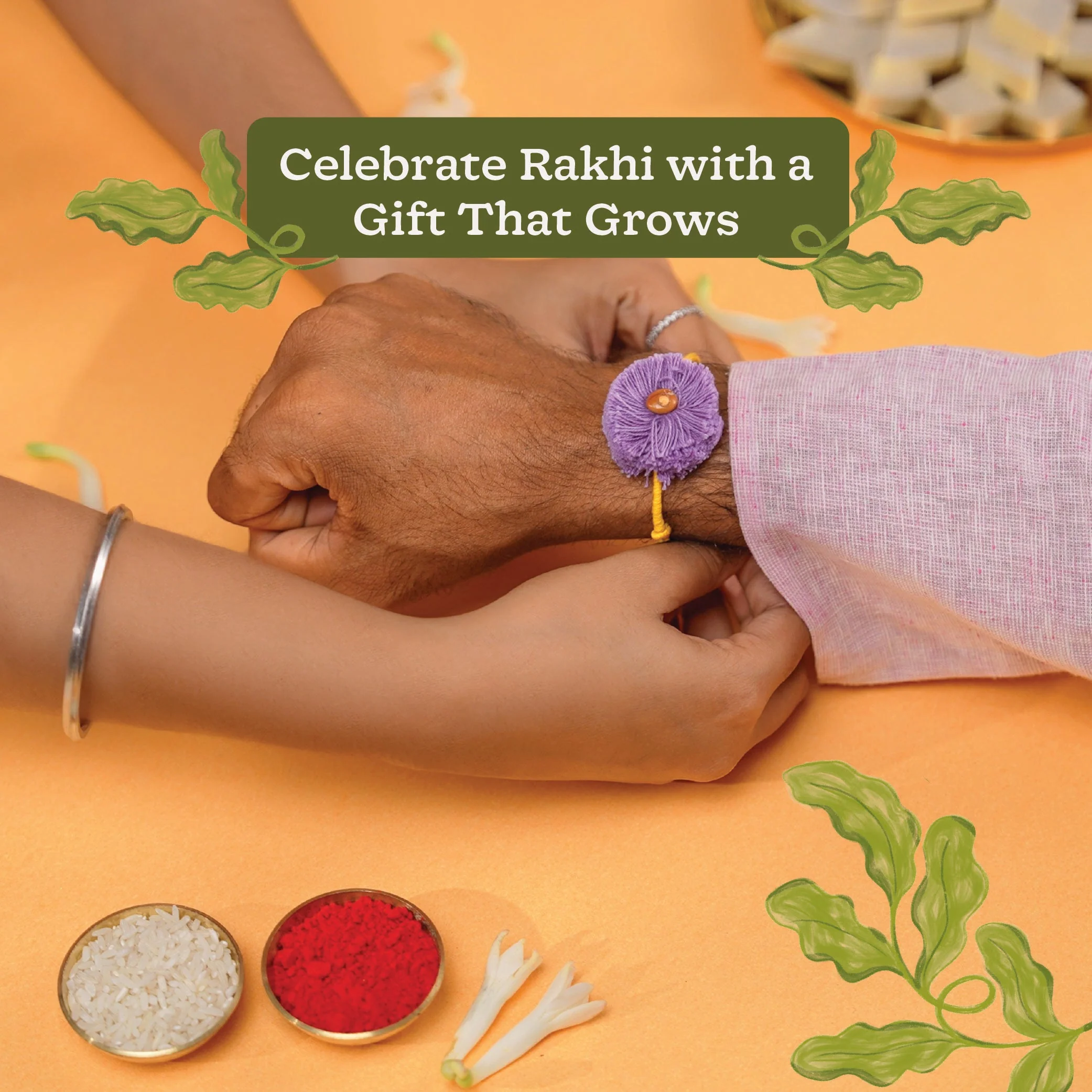 Plantable Seed Rakhi with Amaltash And Brinjal Seed - Image 6