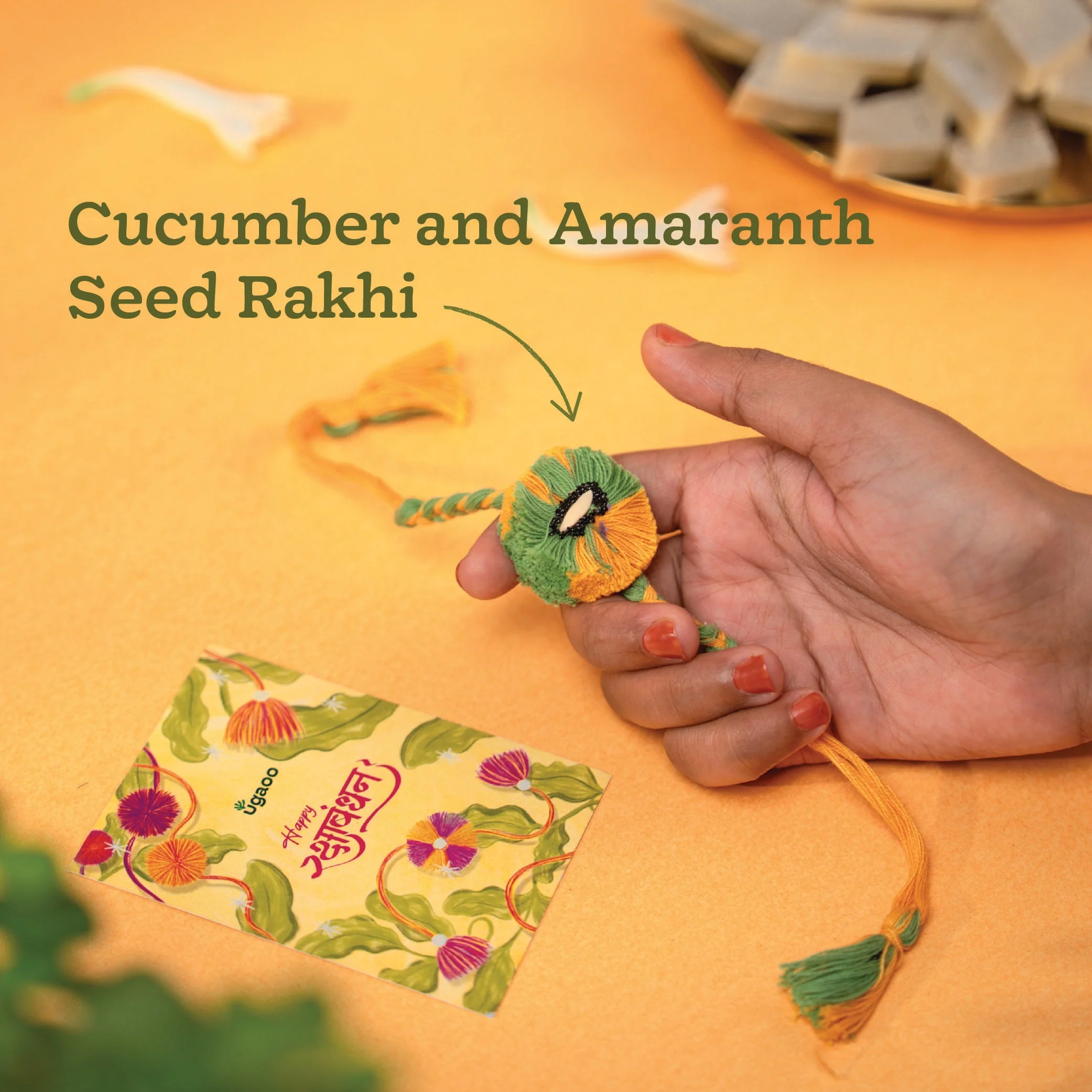 Plantable Seed Rakhi with Cucumber & Chulai Seeds - Image 3