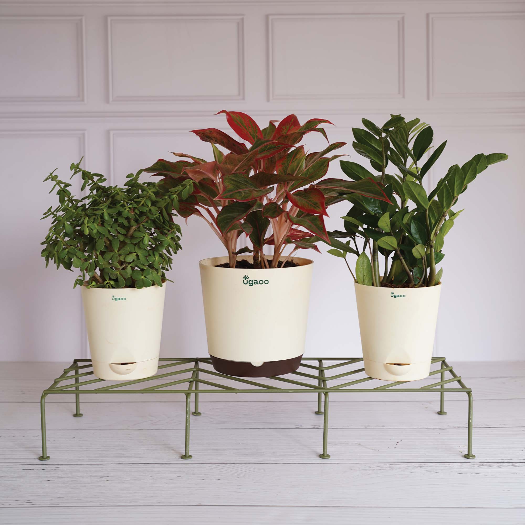 Premium Plants Stand - Image 8