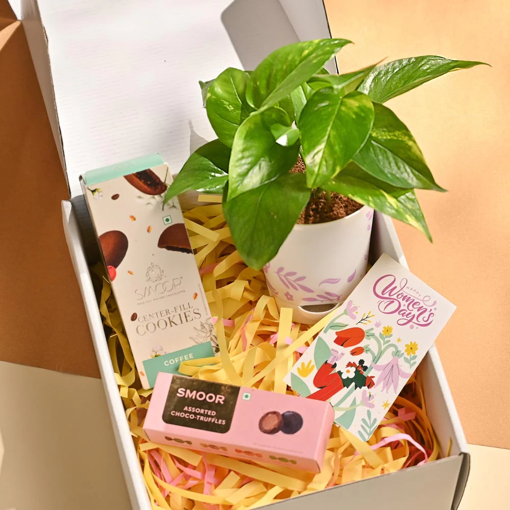 Prosper & Shine – Women’s Day Gifting Hamper - Image 10