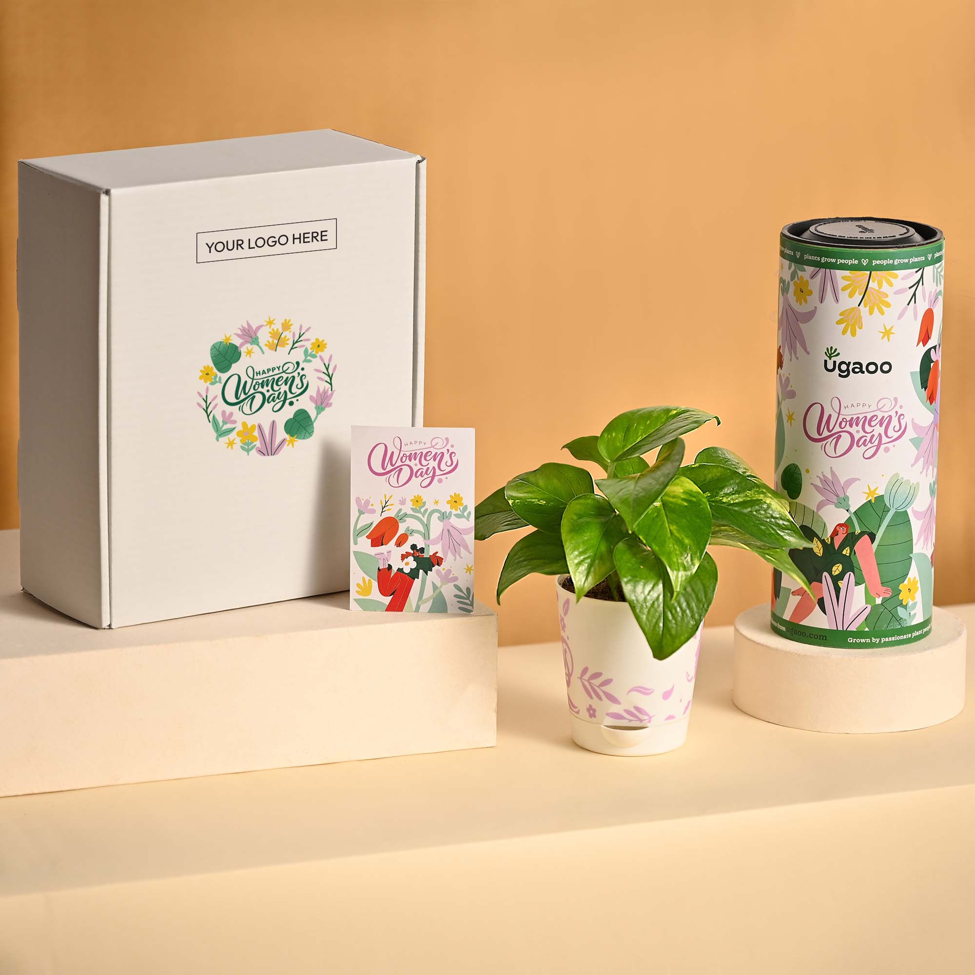 Prosper & Shine – Women’s Day Gifting Hamper - Image 2