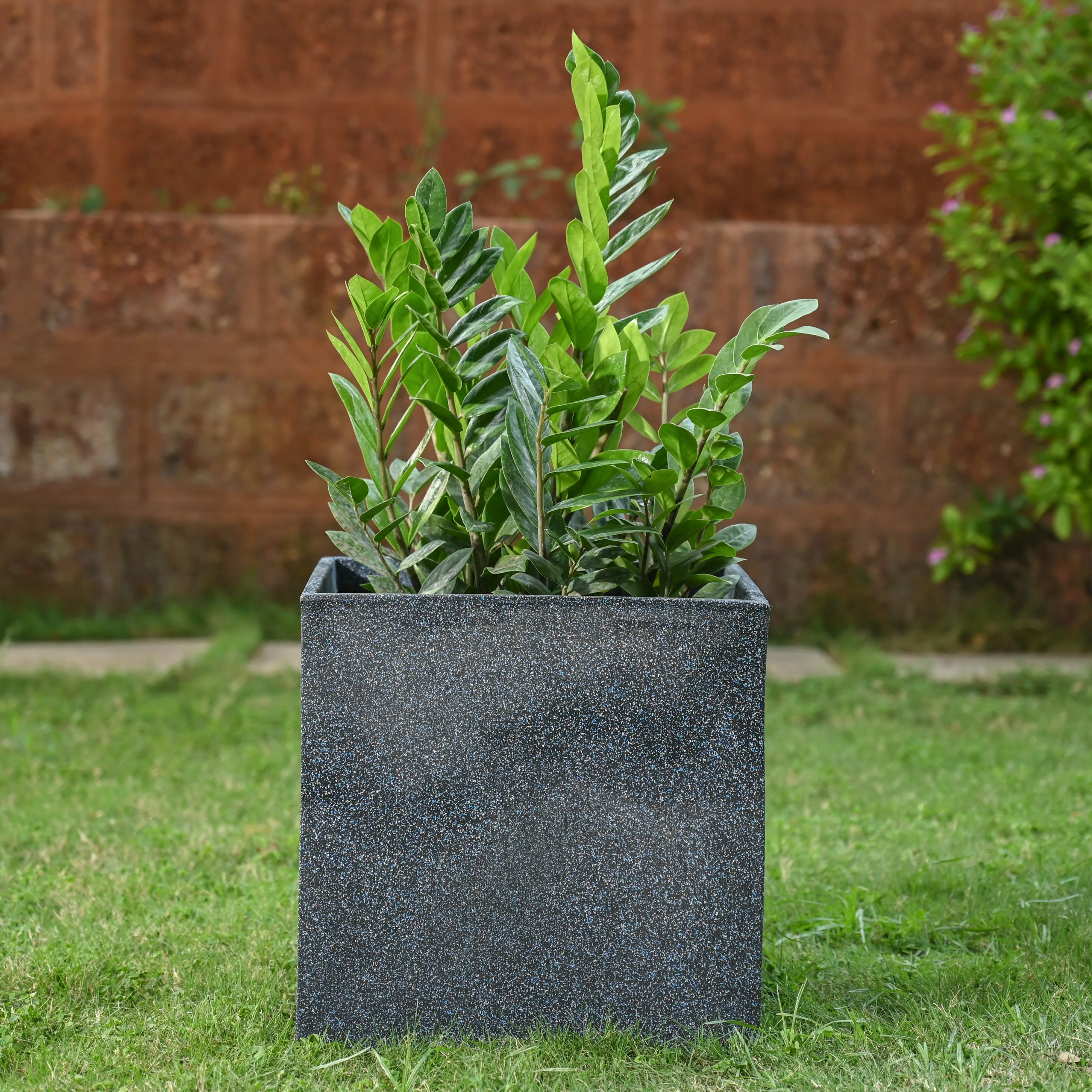 Qubec Planter - Image 26