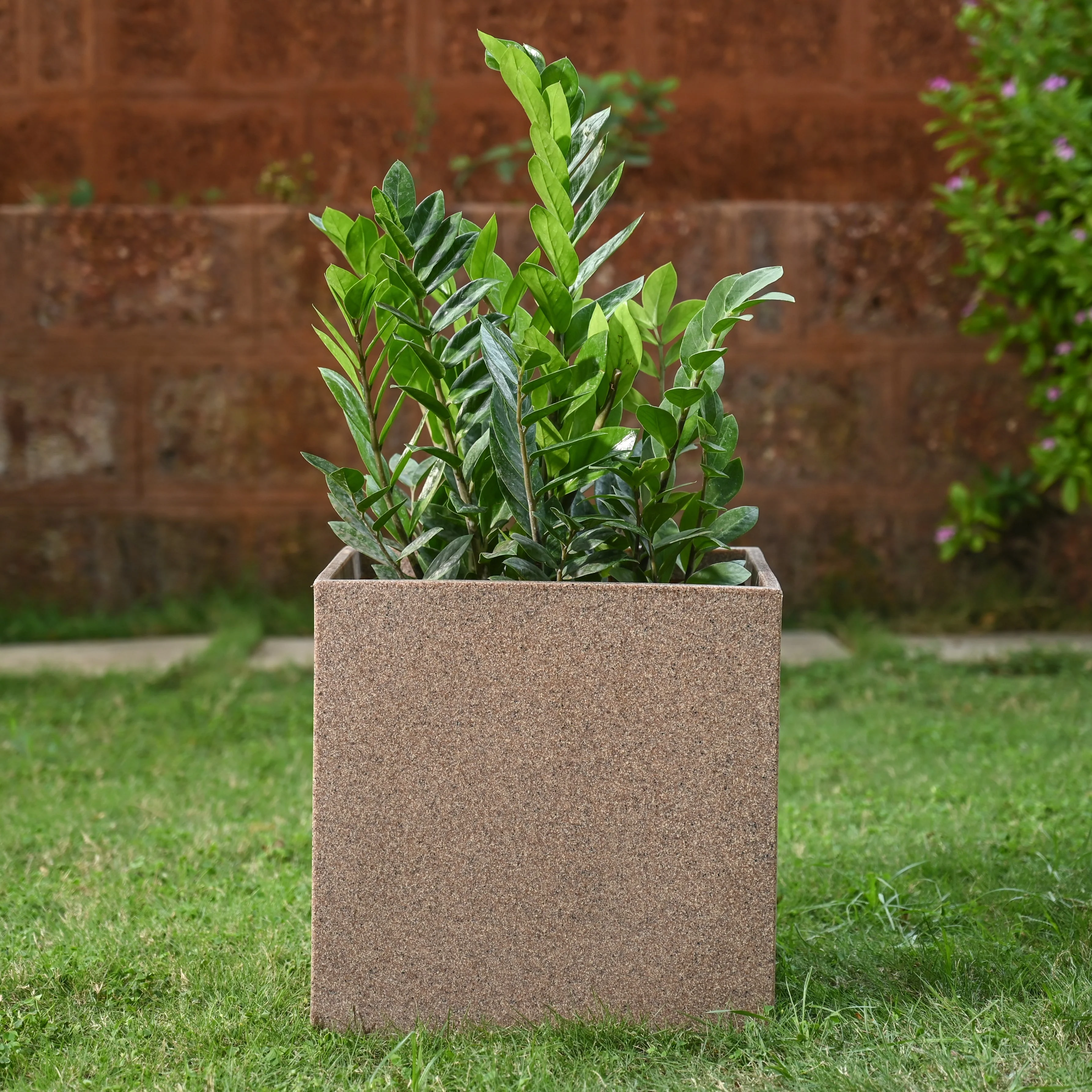 Qubec Planter - Image 32
