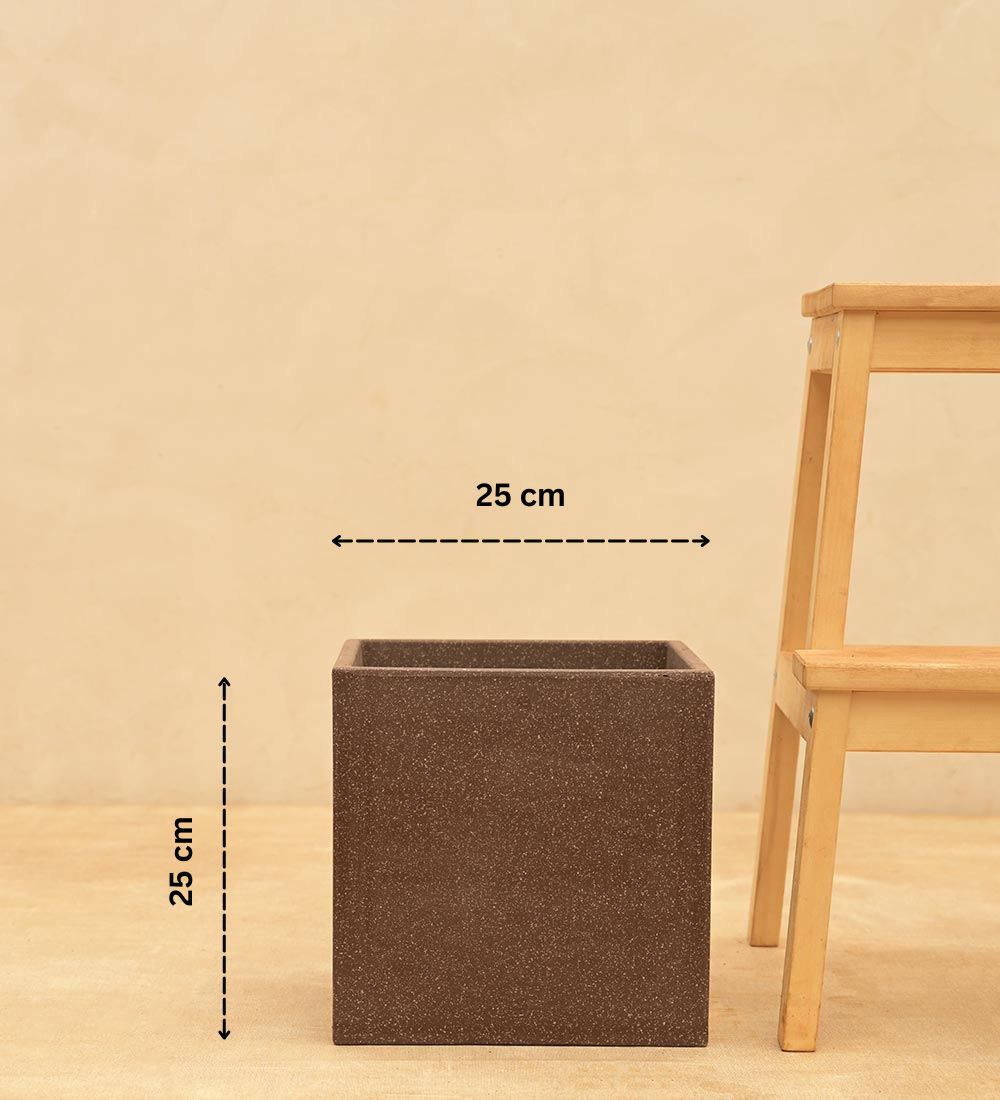 Qubec Planter - Image 4