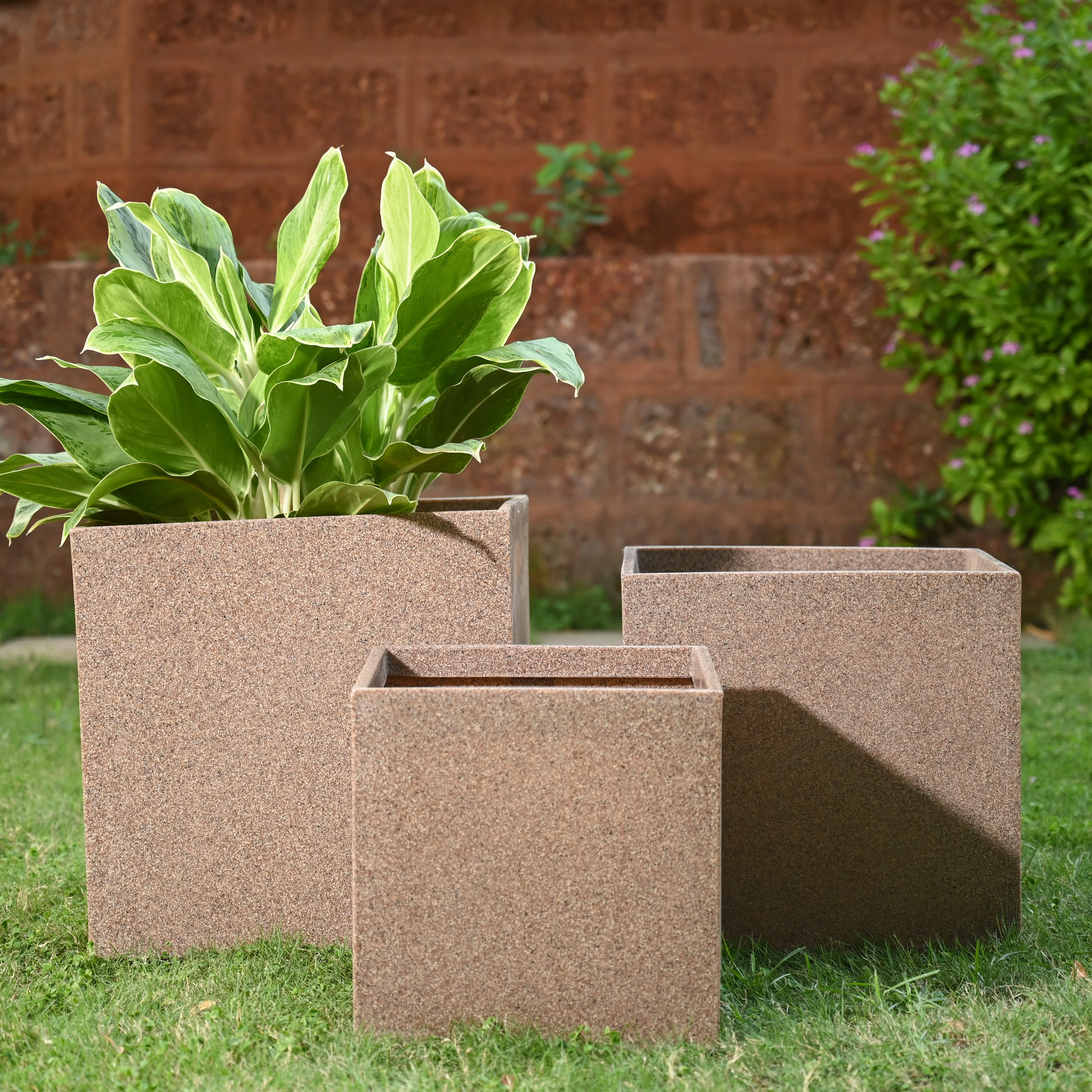 Qubec Planter - Image 53