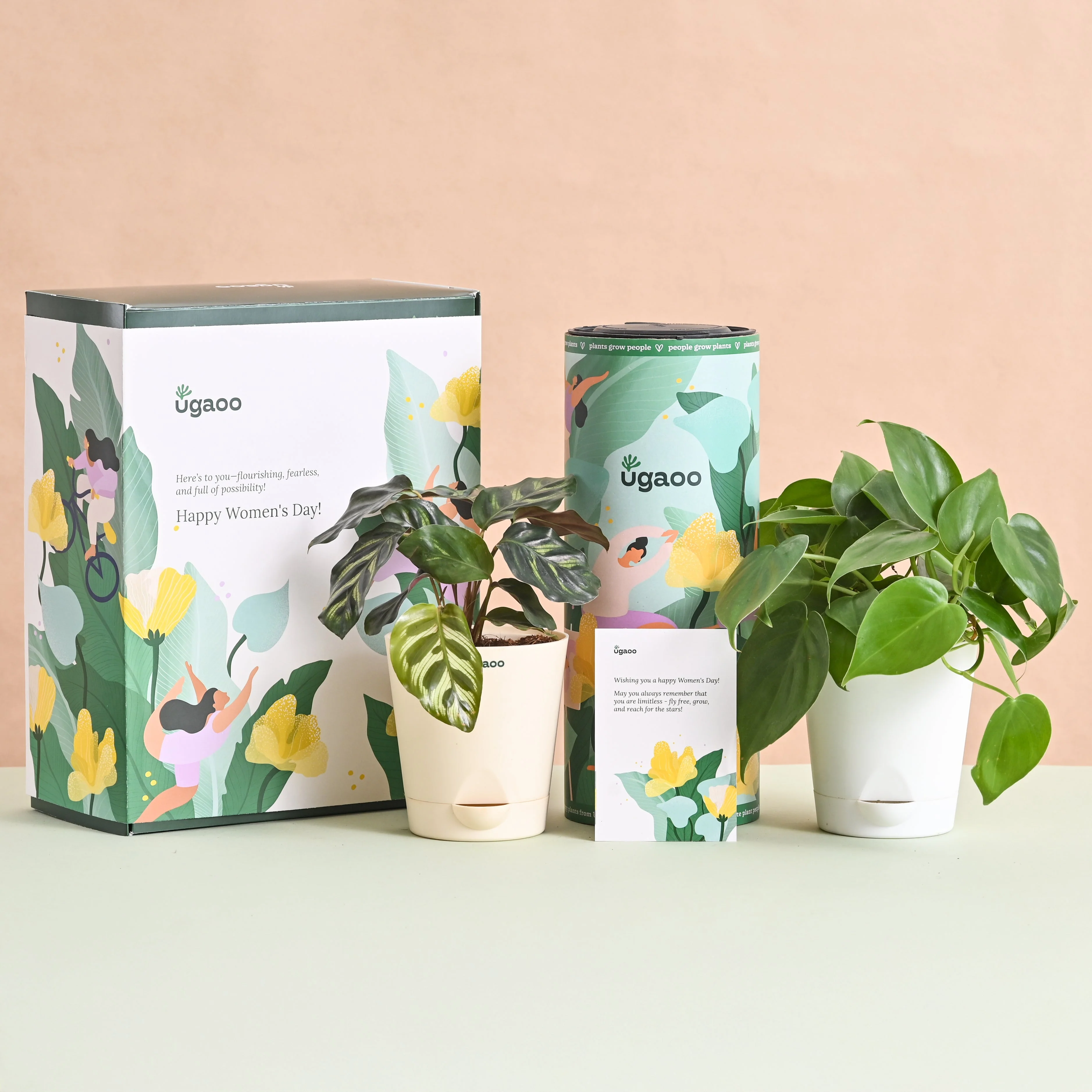Queen's Canopy Plant Bundle for Women's Day - Image 6