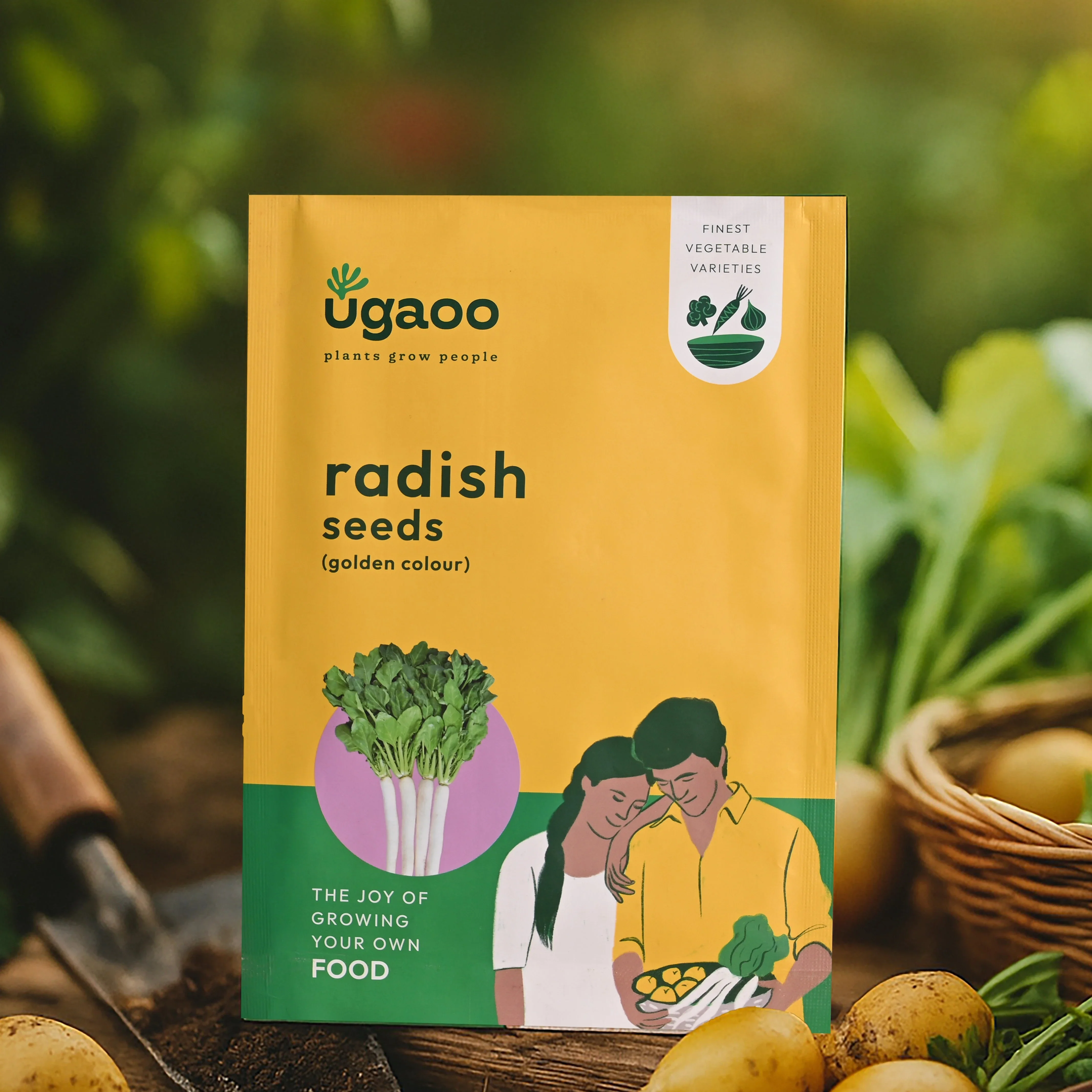 Radish Golden Seeds (Pusa Chatki) - Image 10
