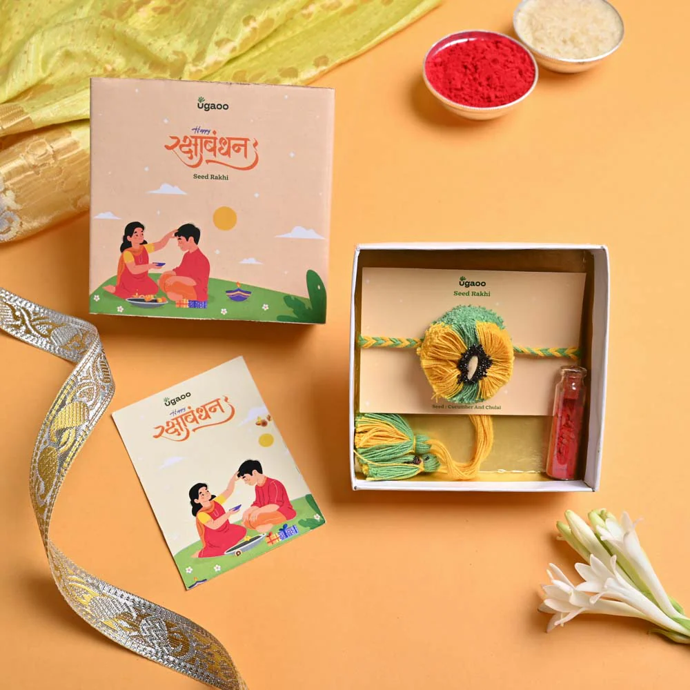 Rakhi Gift for Brother - Agalonema Red with Best Brother Momento and Brownie - Image 3