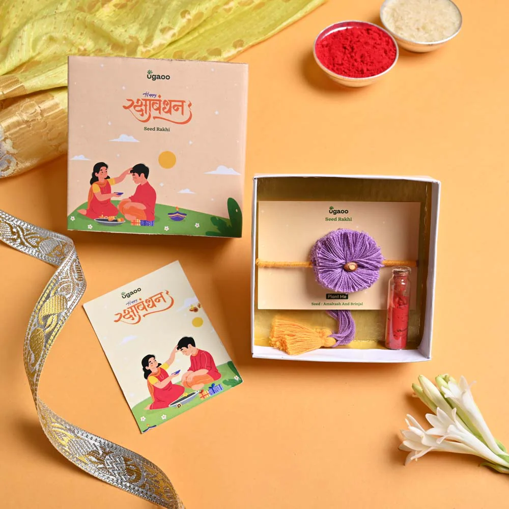 Rakhi Gift for Brother - Snake Golden Haini with Chocolate Box - Image 3