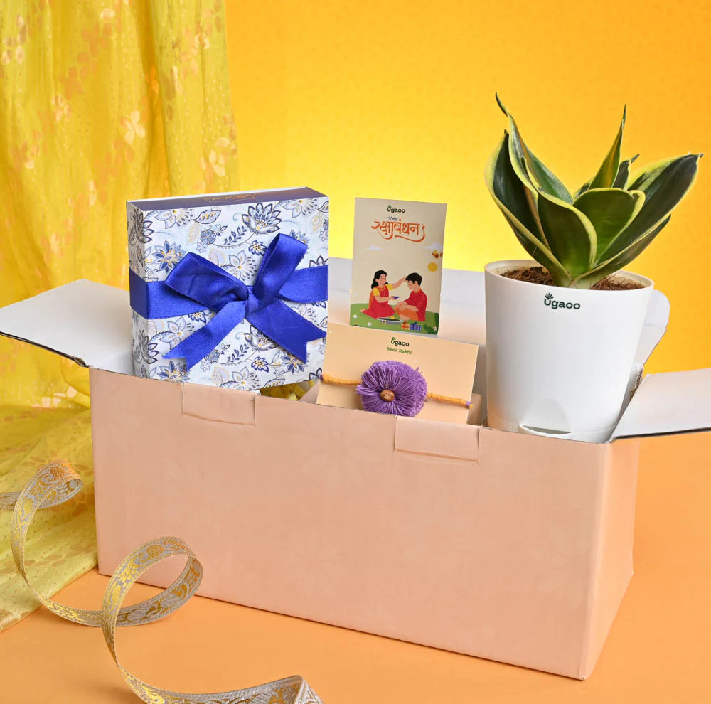 Rakhi Gift for Brother - Snake Golden Haini with Chocolate Box - Image 7