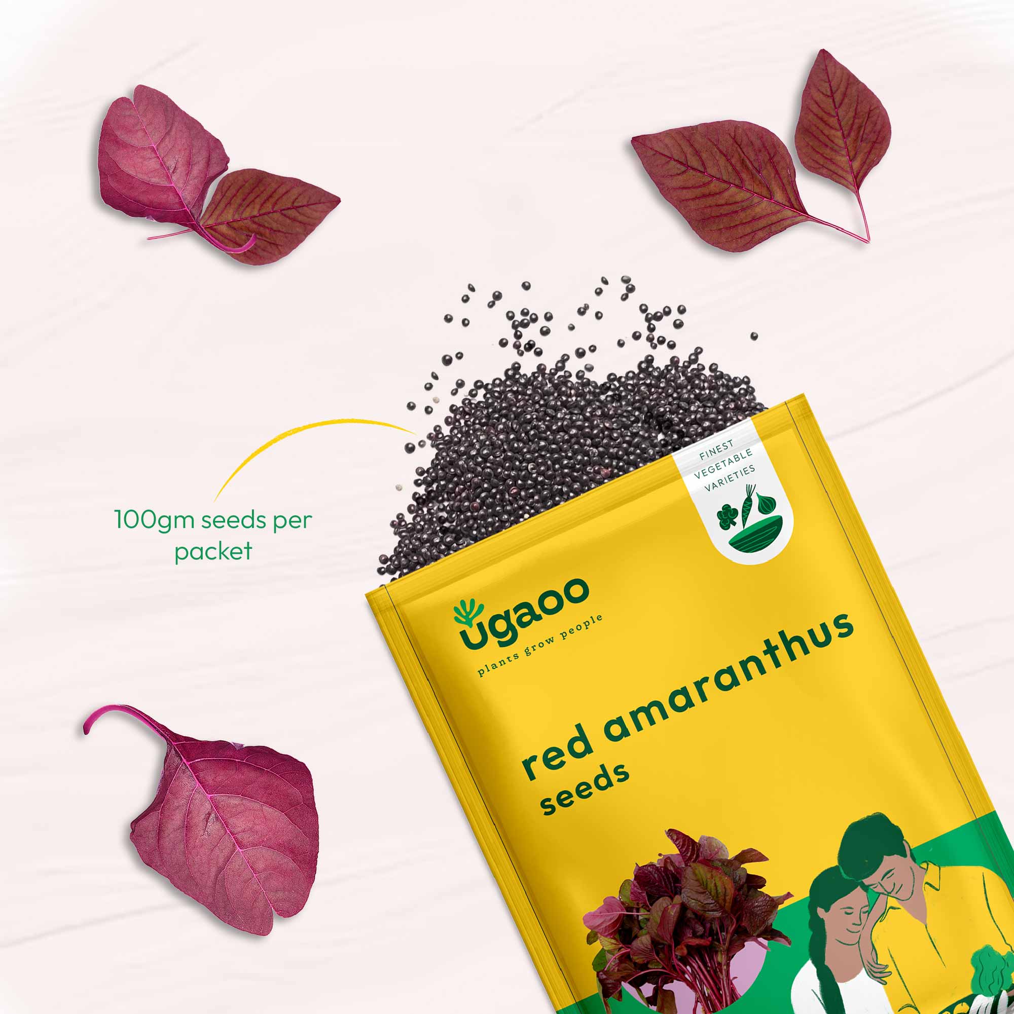 Red Amaranthus Seeds (Red Math) - Image 12