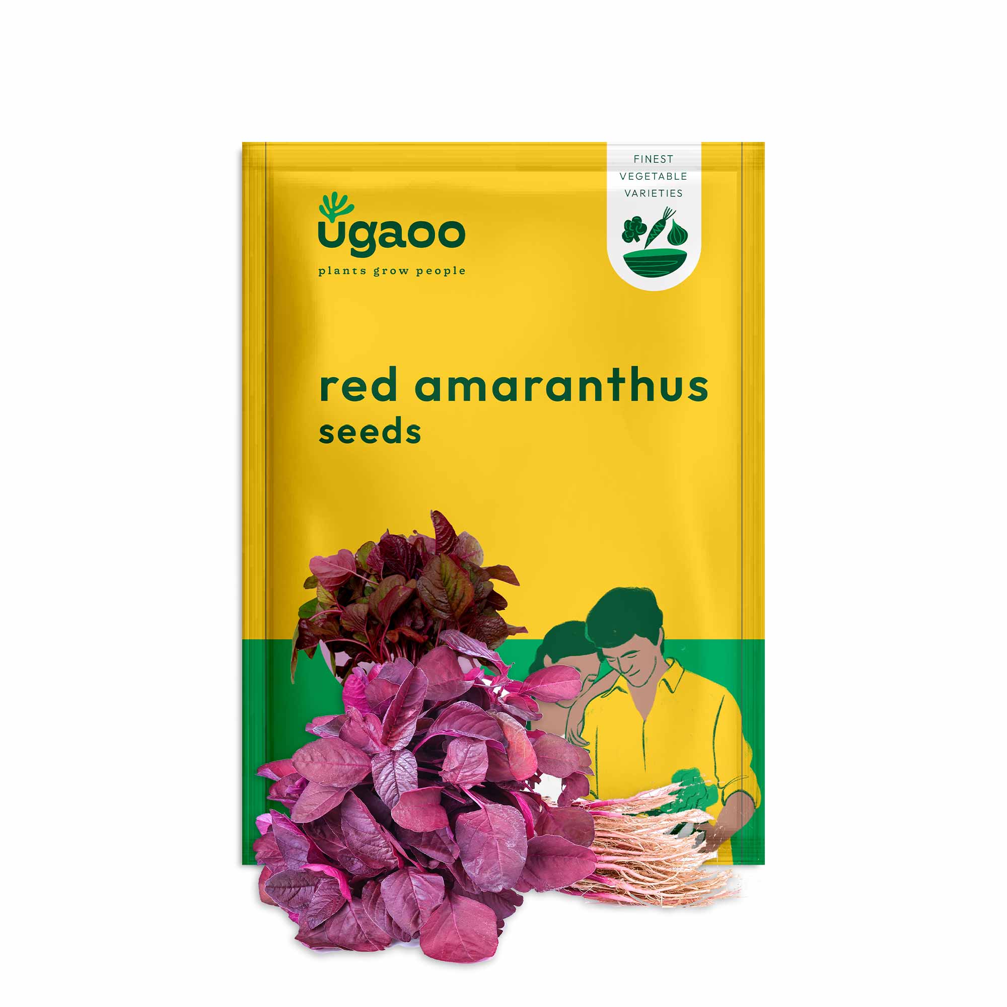 Red Amaranthus Seeds (Red Math) - Image 20