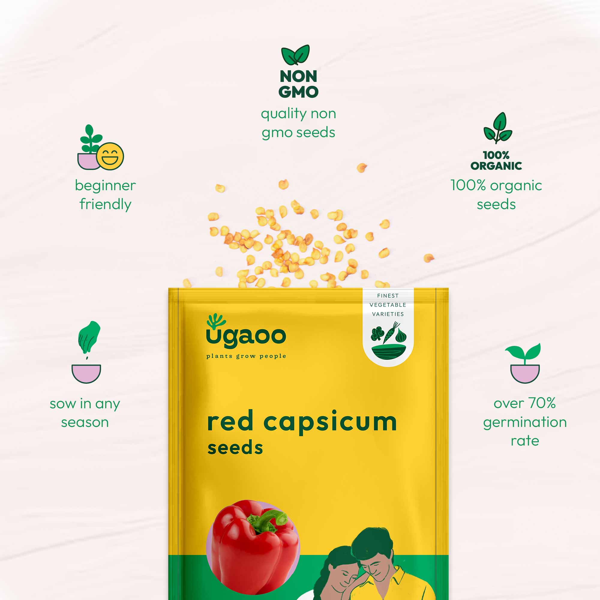 Red Capsicum Seeds - Image 6