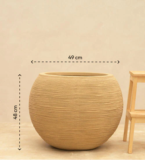 Rib Bowl Planter - Image 13