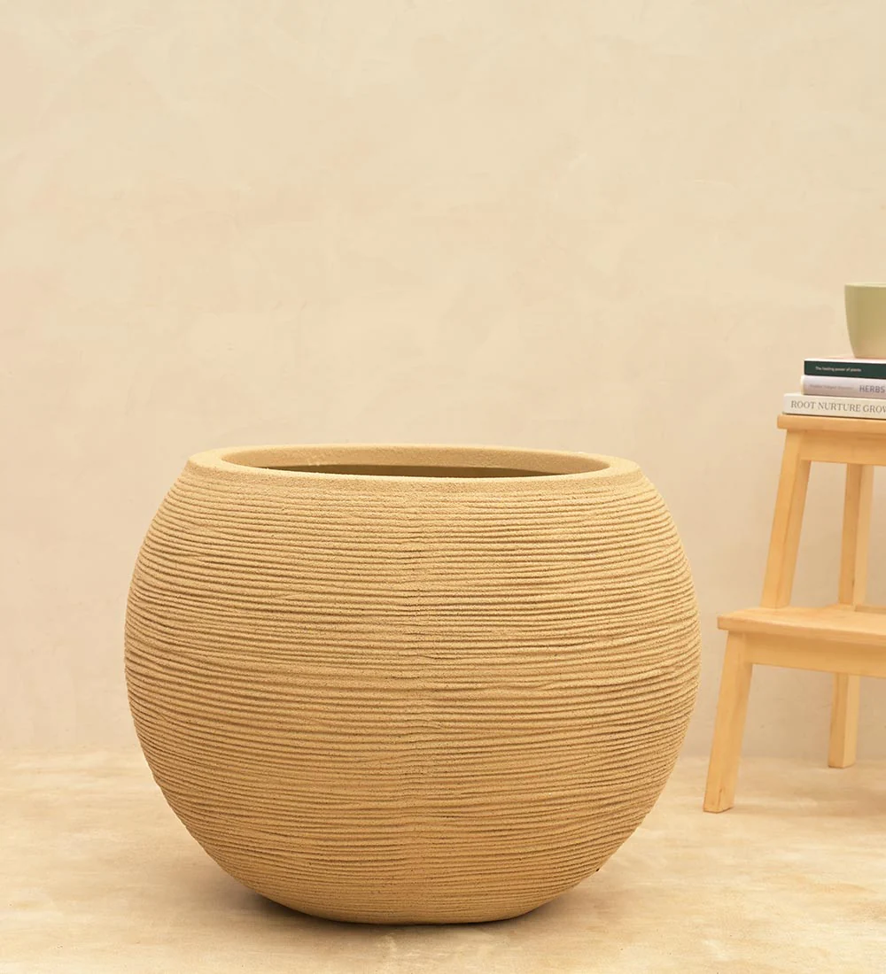 Rib Bowl Planter - Image 14