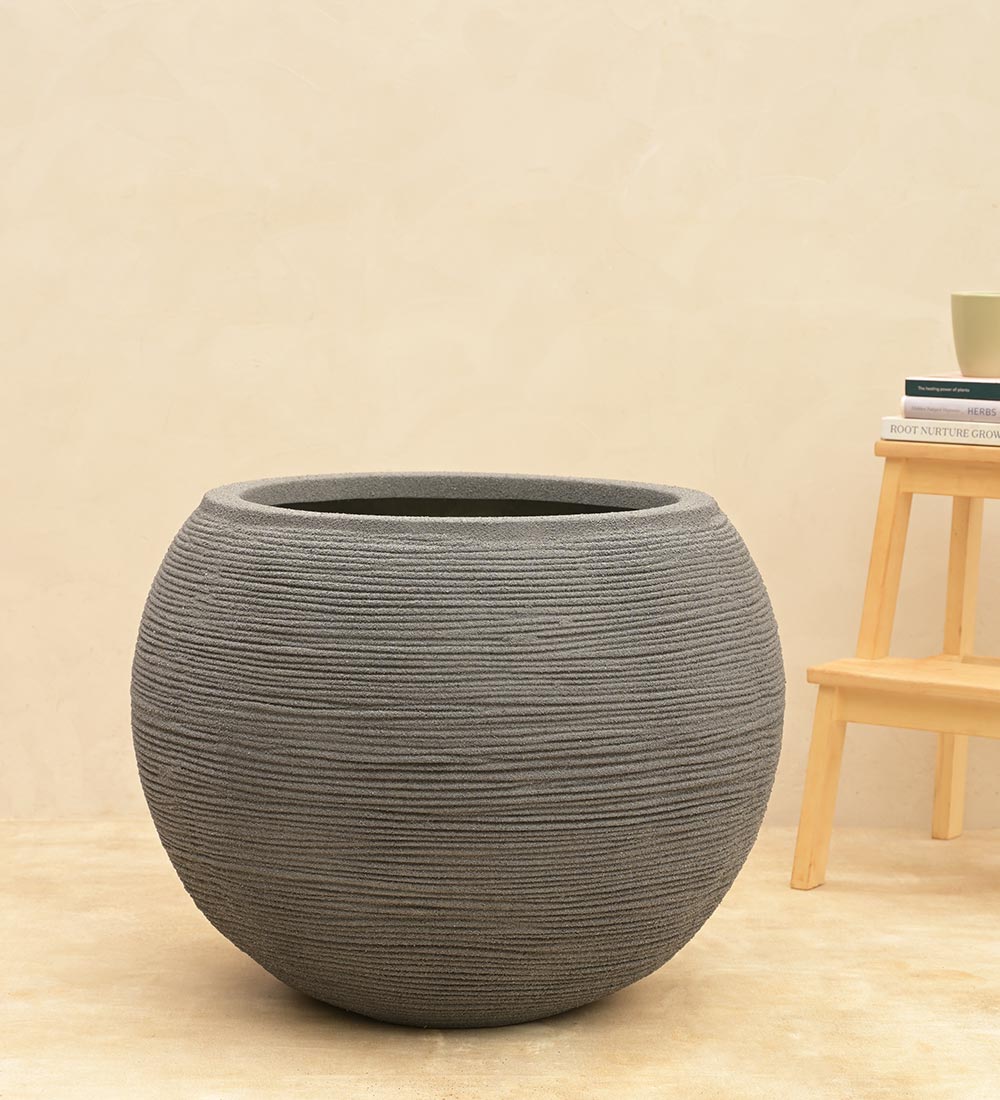 Rib Bowl Planter - Image 20