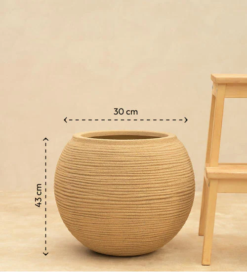 Rib Bowl Planter - Image 24