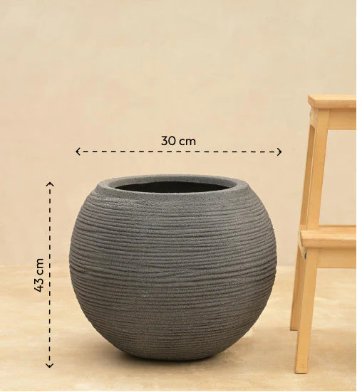 Rib Bowl Planter - Image 29