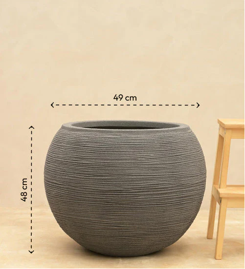 Rib Bowl Planter - Image 30