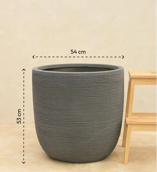 Rib Short Planter - Image 28