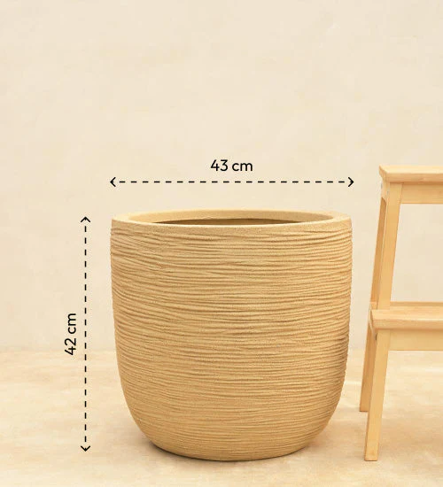 Rib Short Planter - Image 39