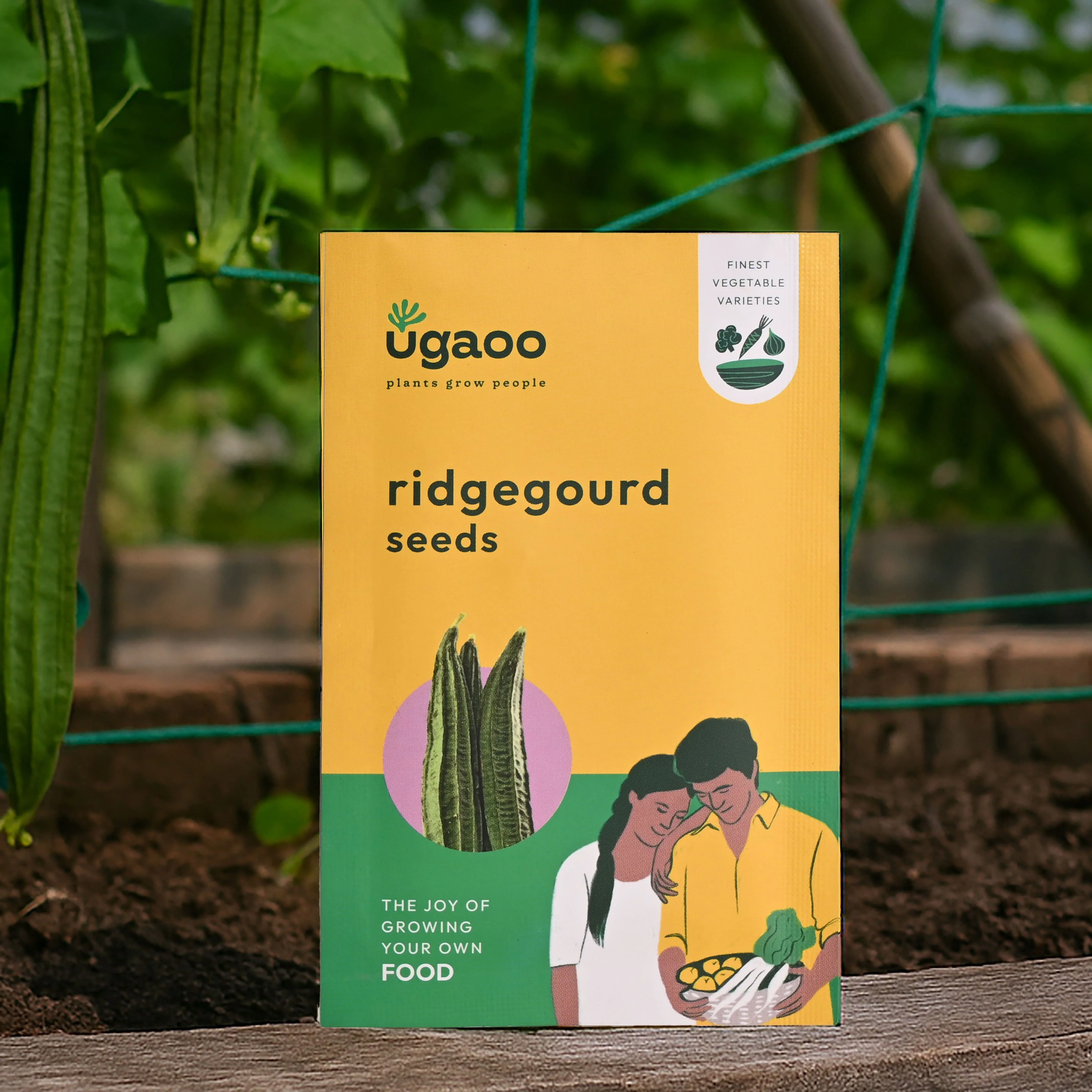 Ridge Gourd Seeds