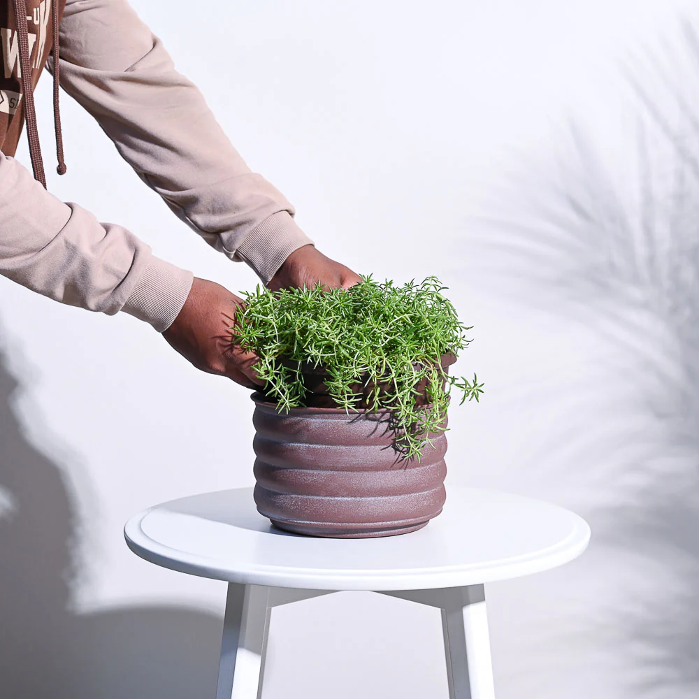 RidgeCraft Cylindrical Planter - Image 6