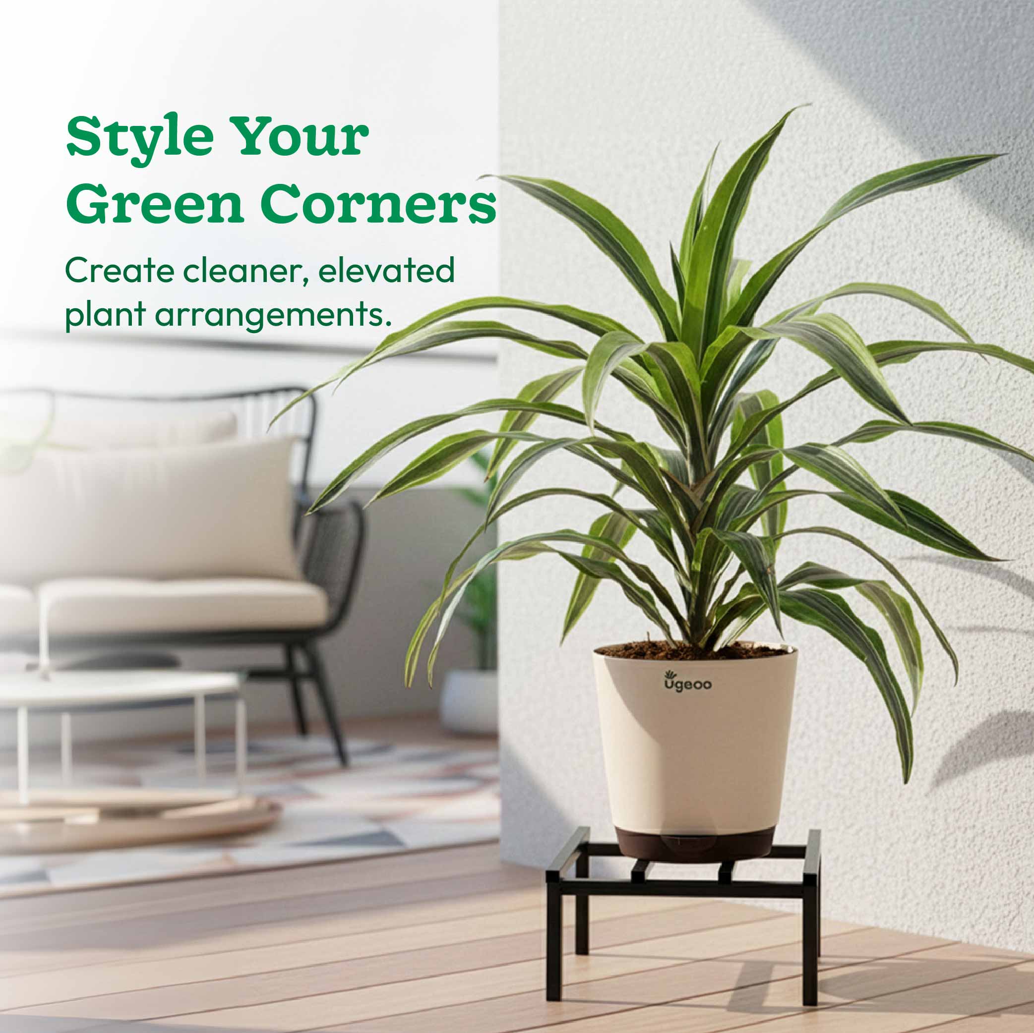 Rolling Plant Stand - Black - Image 32