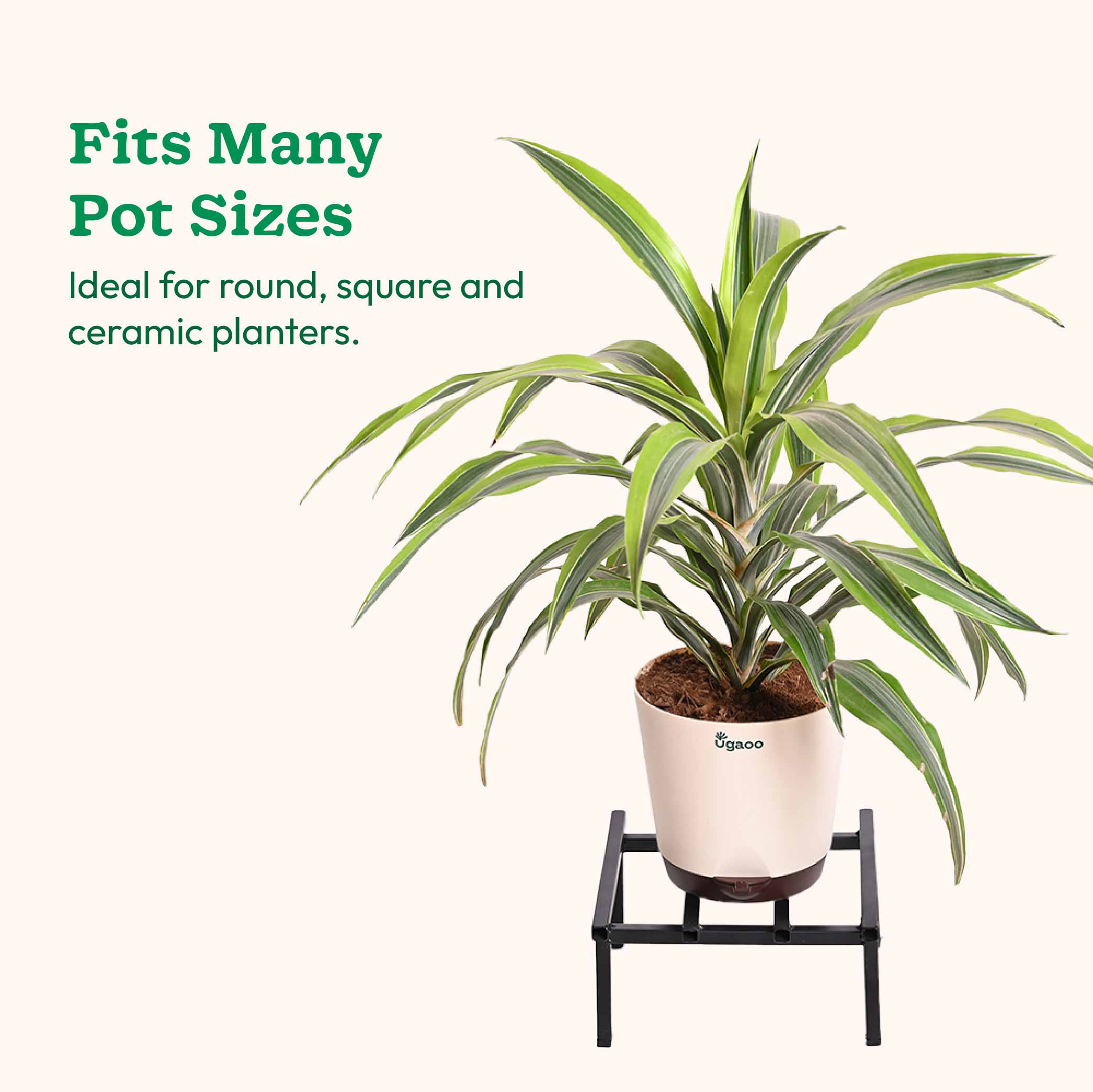 Rolling Plant Stand - Black - Image 34